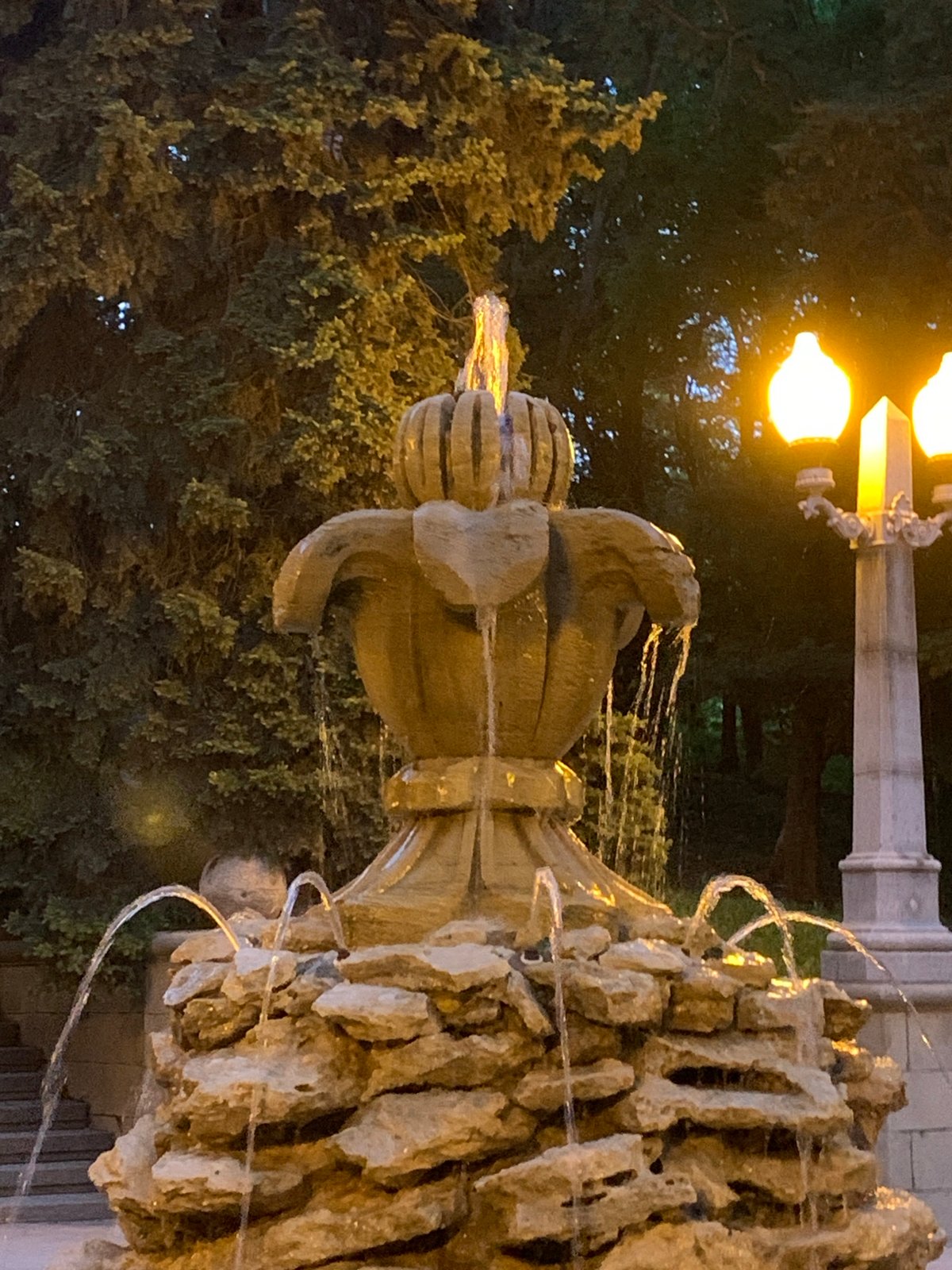 Evening twilight scenes documented across Stavropol park areas