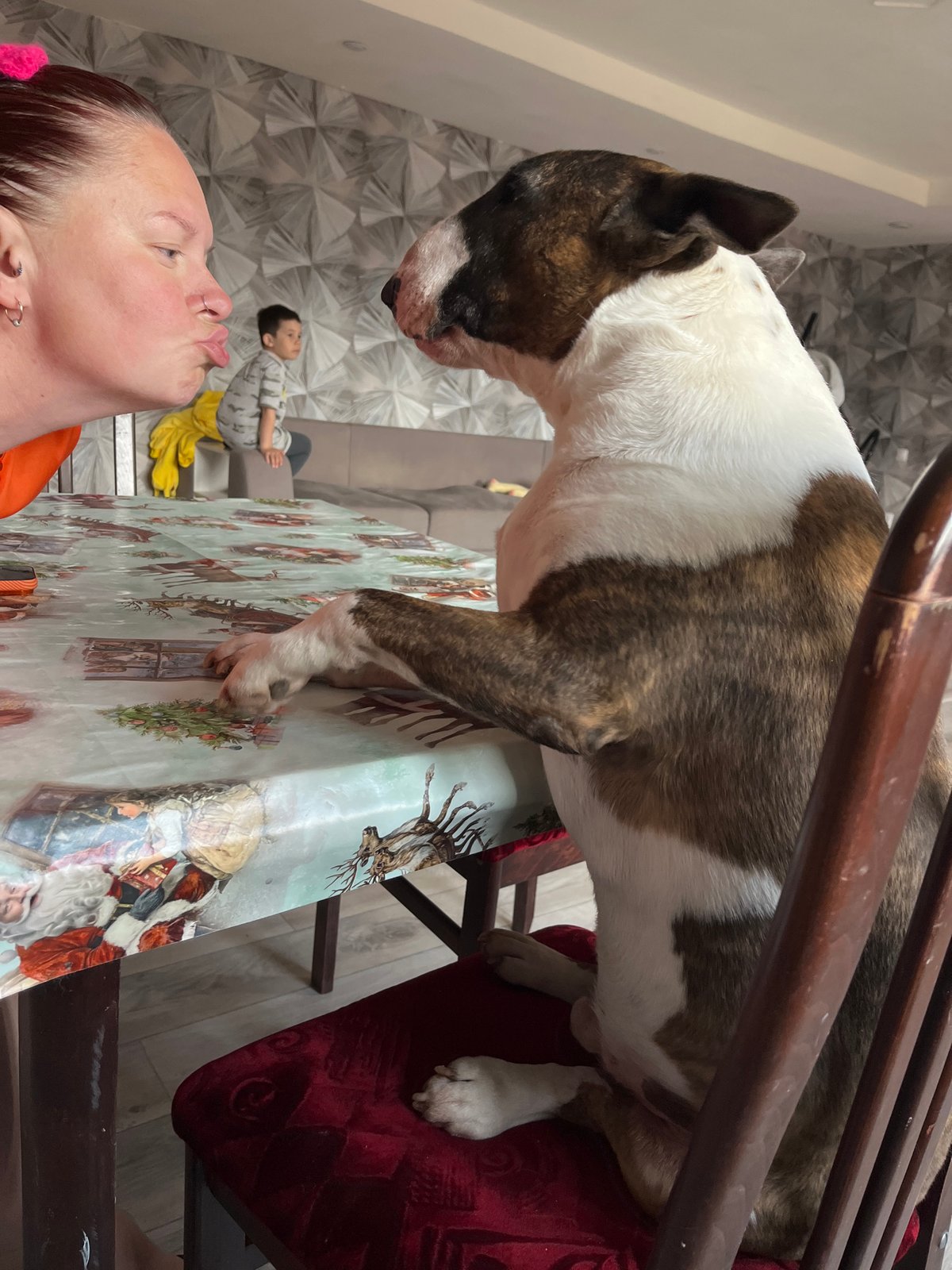 Domestic pets photographed in Chaikovsky home during morning hours