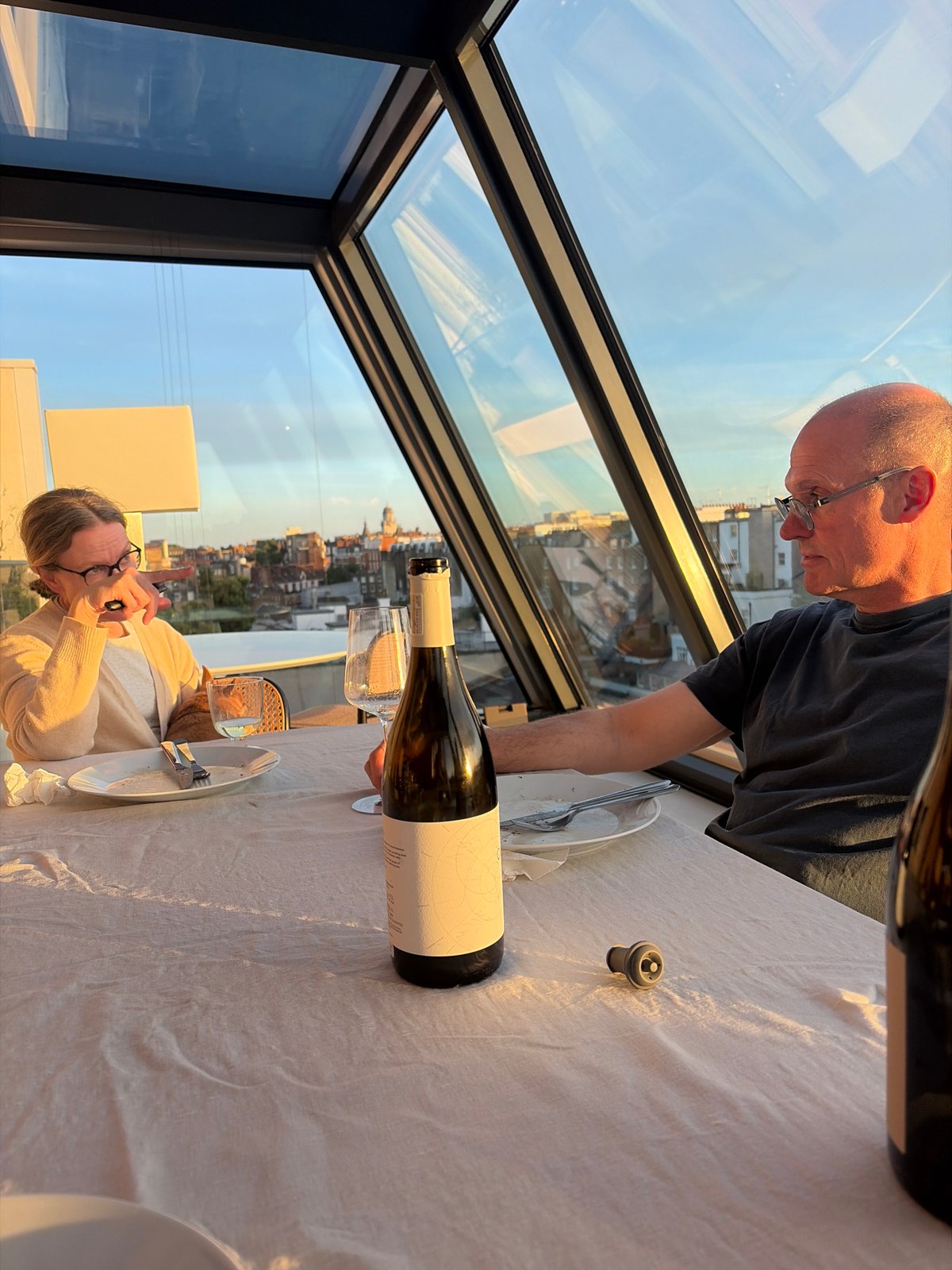 Sunset dining with dogs overlooking city skyline