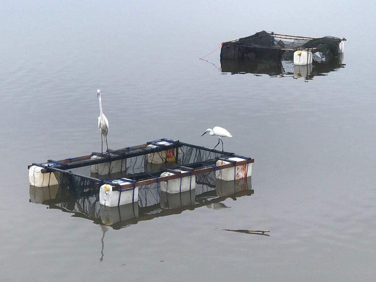 Early morning activity documented near Lhokseumawe waterfront