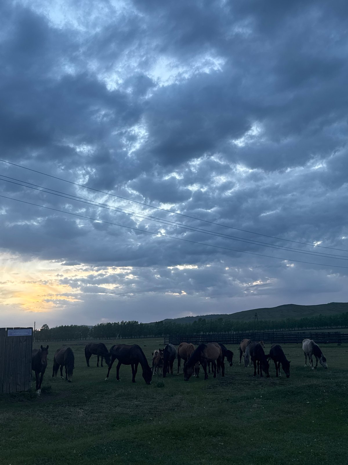 Rural life captured in Нижний Бургалтай during cloudy afternoon