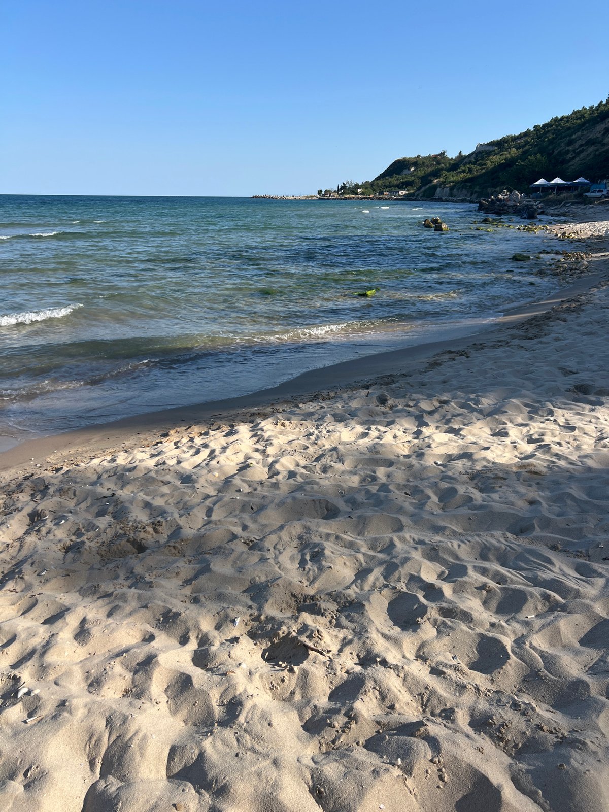 Dog on a leash at a sandy beach in Osenovo, Bulgaria