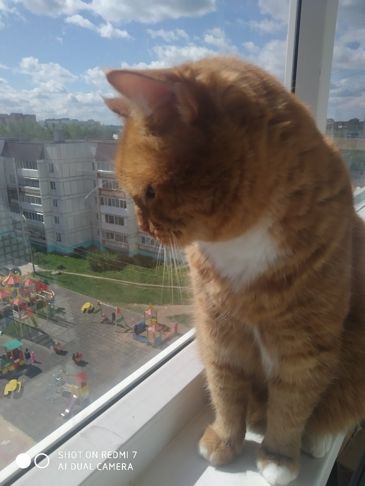 Saturday morning life captured across Chaikovsky, Russia