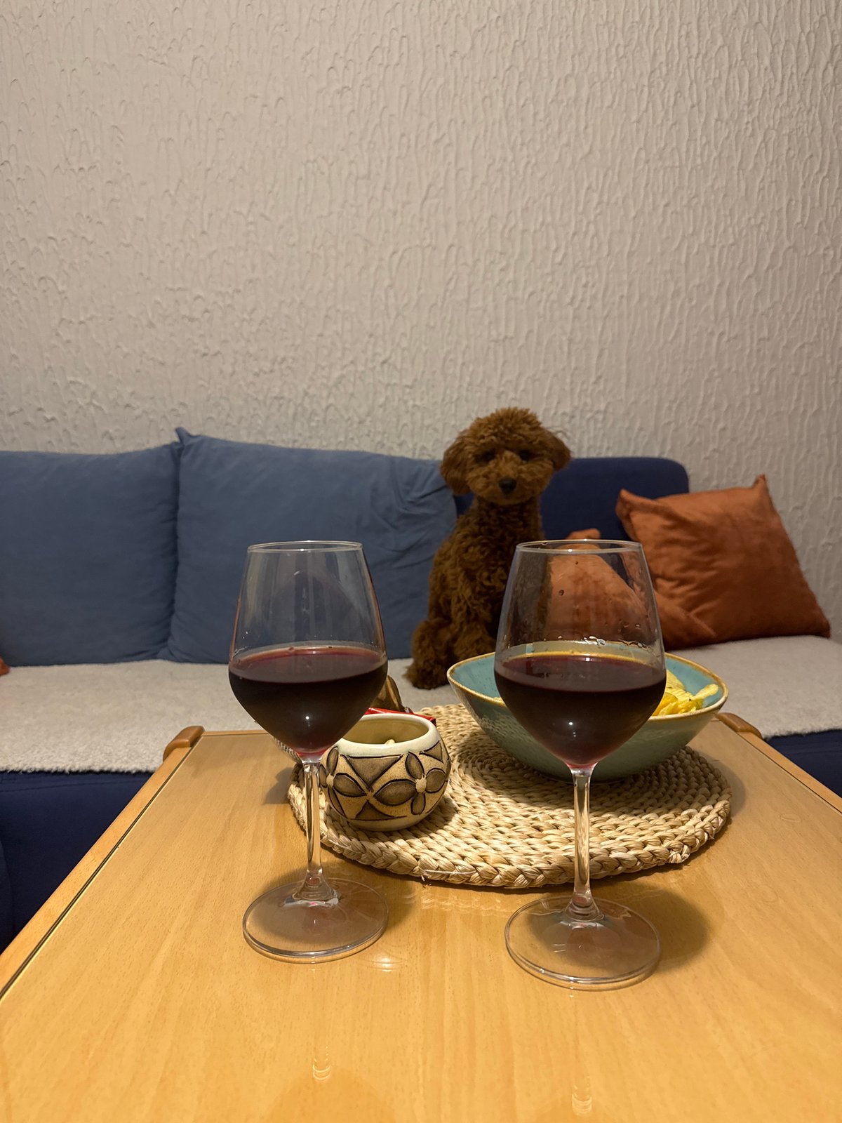 Red wine shared in Miljevci home evening scene