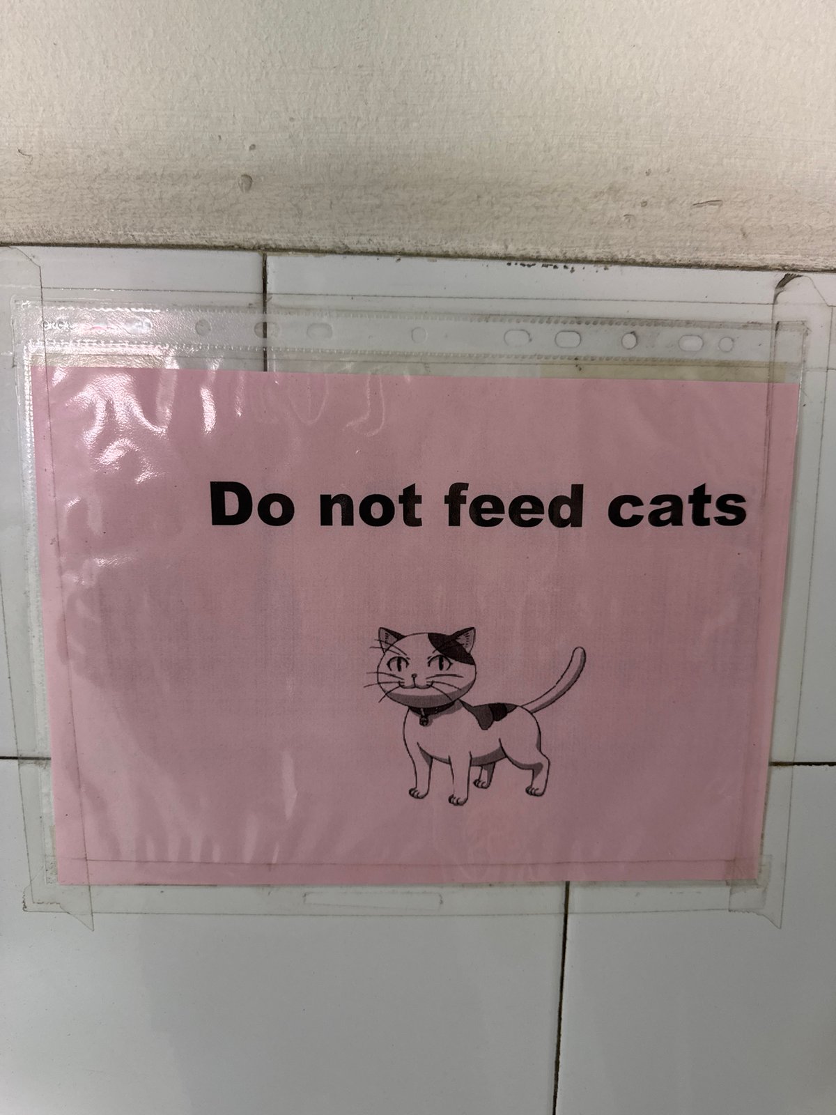Morning street scenes and signage documented across Bangkok