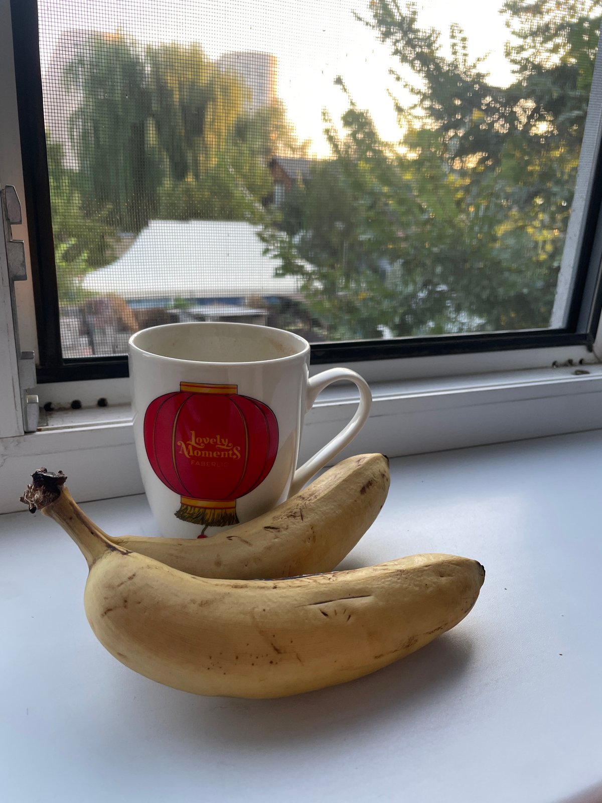 Everyday Almaty: apartment blocks, a windowsill, and a farmyard animal