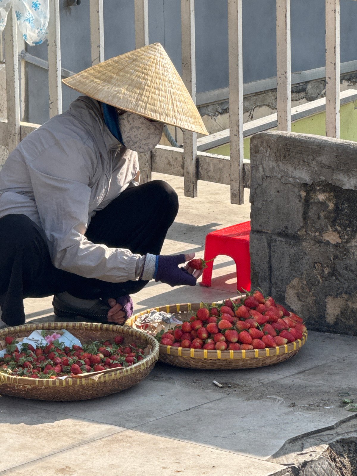 Daily life unfolds across Da Lat's streets and markets