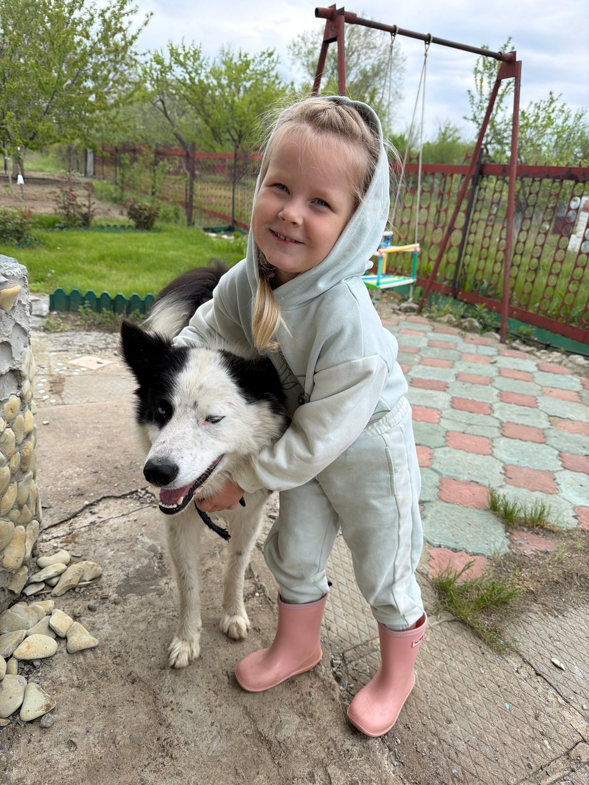 Spring day in Kamyshin: child plays with dog, strawberries grow