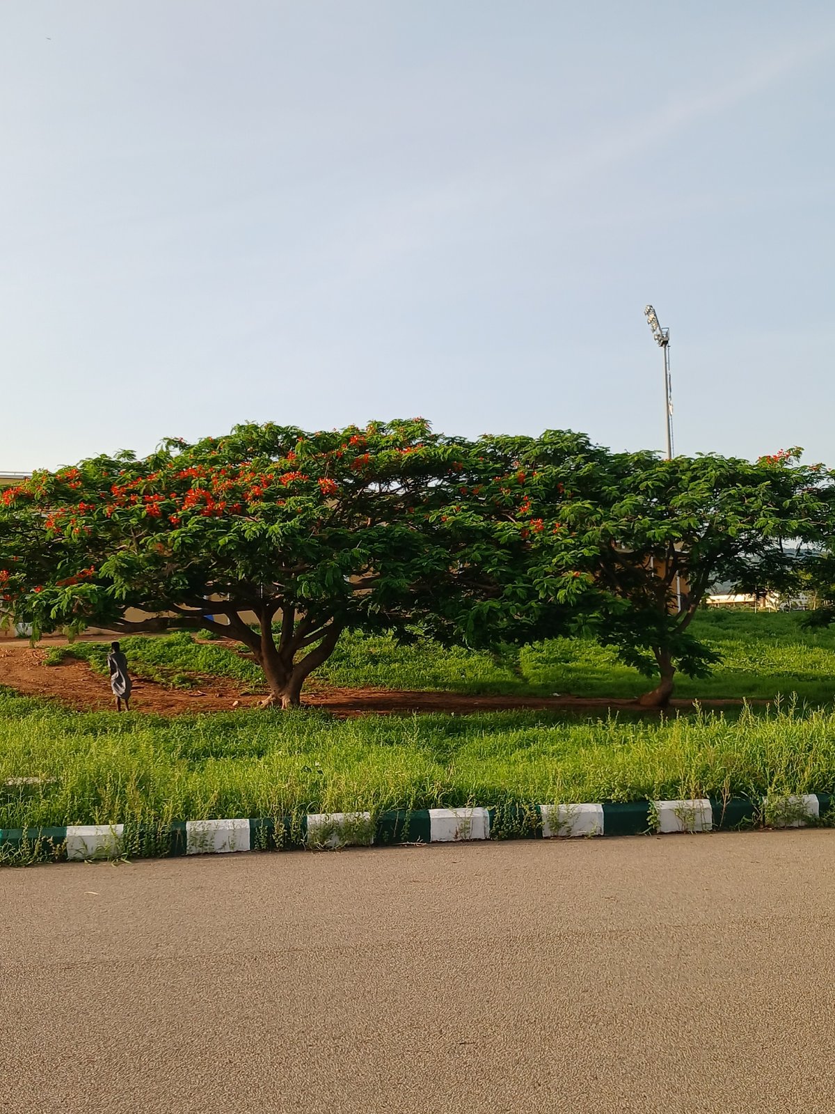 Ordinary afternoon moments documented across Jalingo, Nigeria