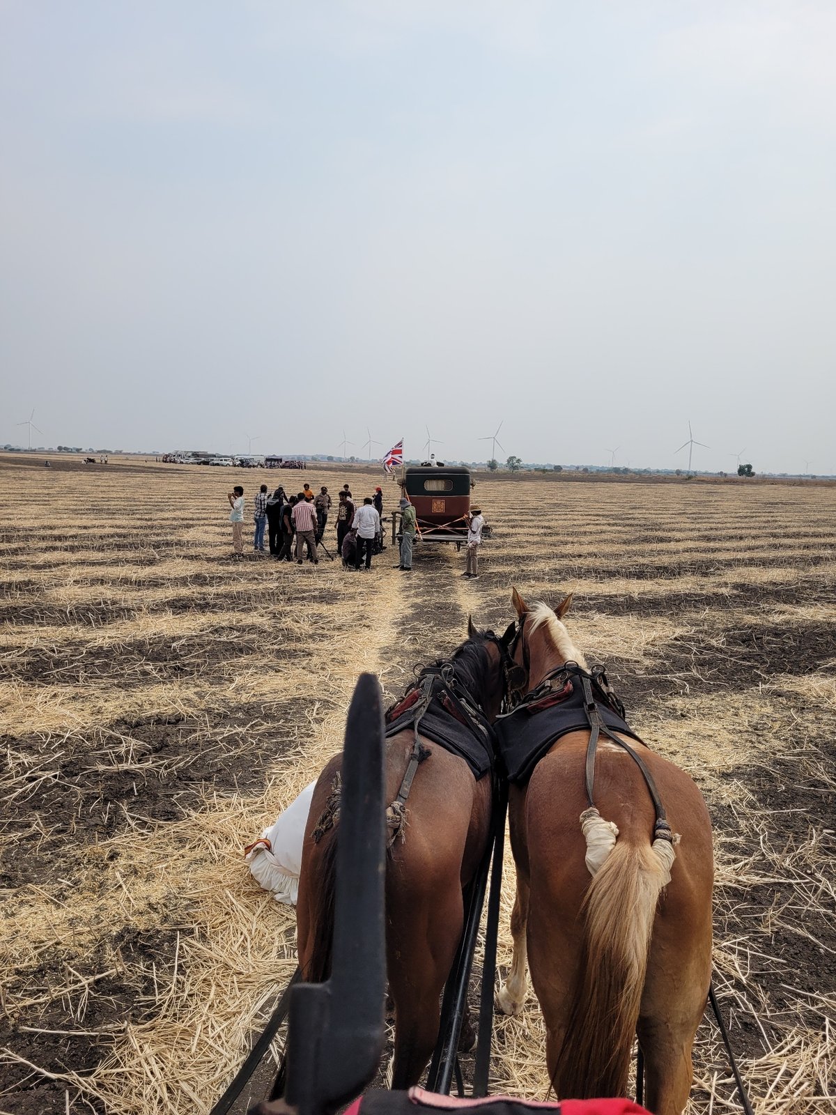 Horse-drawn carriage ride captured from passenger perspective