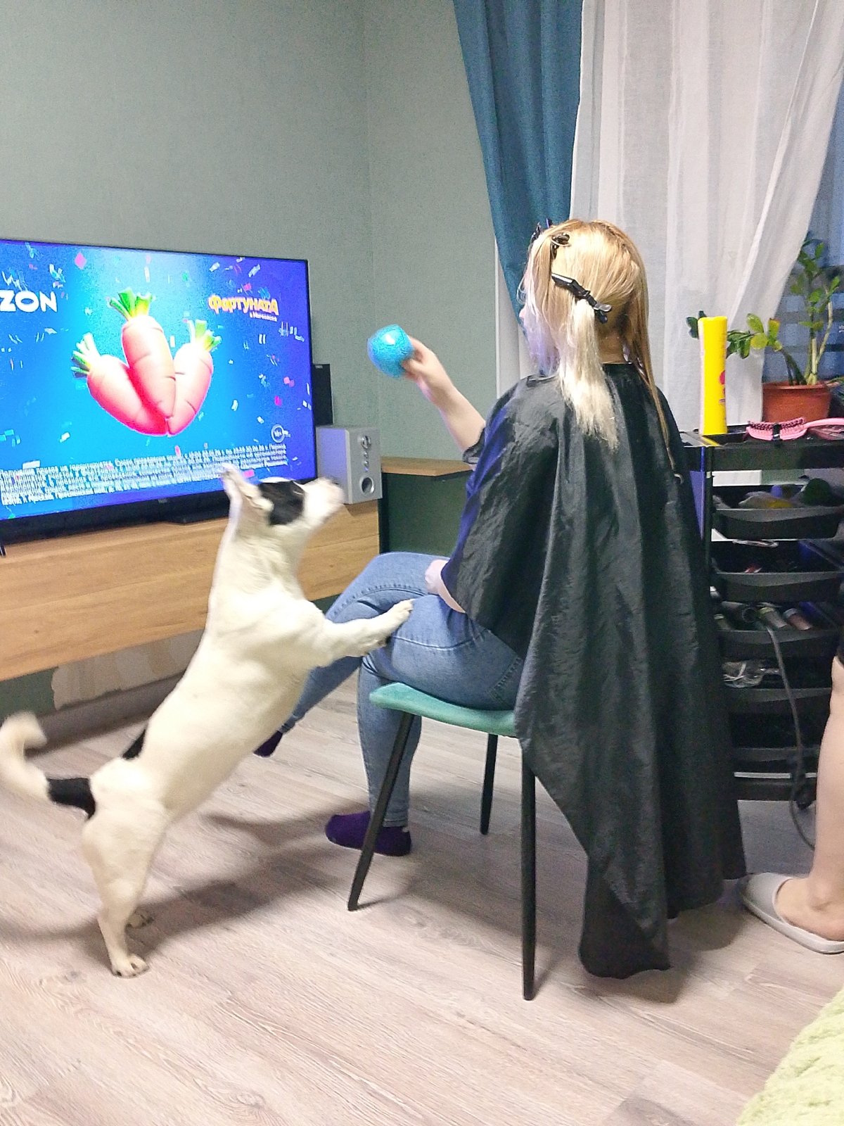 Casual gathering with drinks and dog play in Izhevsk