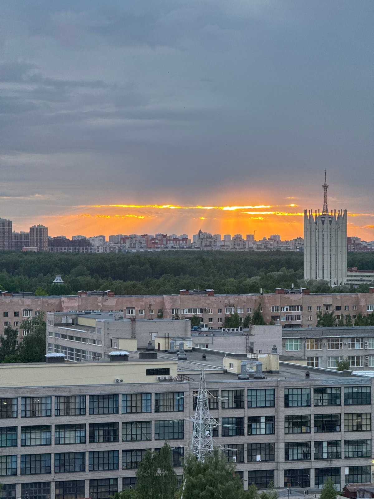 Urban wildlife spotted on building windowsills during city sunset
