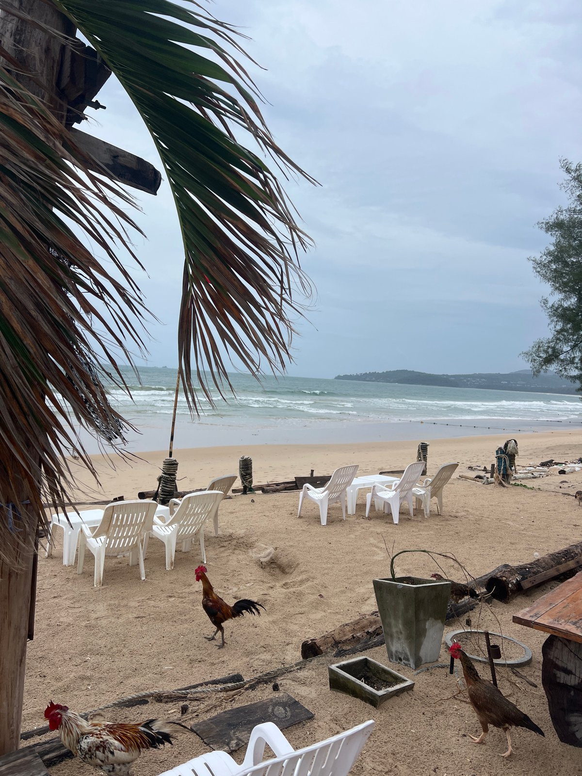 Rough-sea warning flags up at a cloudy, mostly empty beach