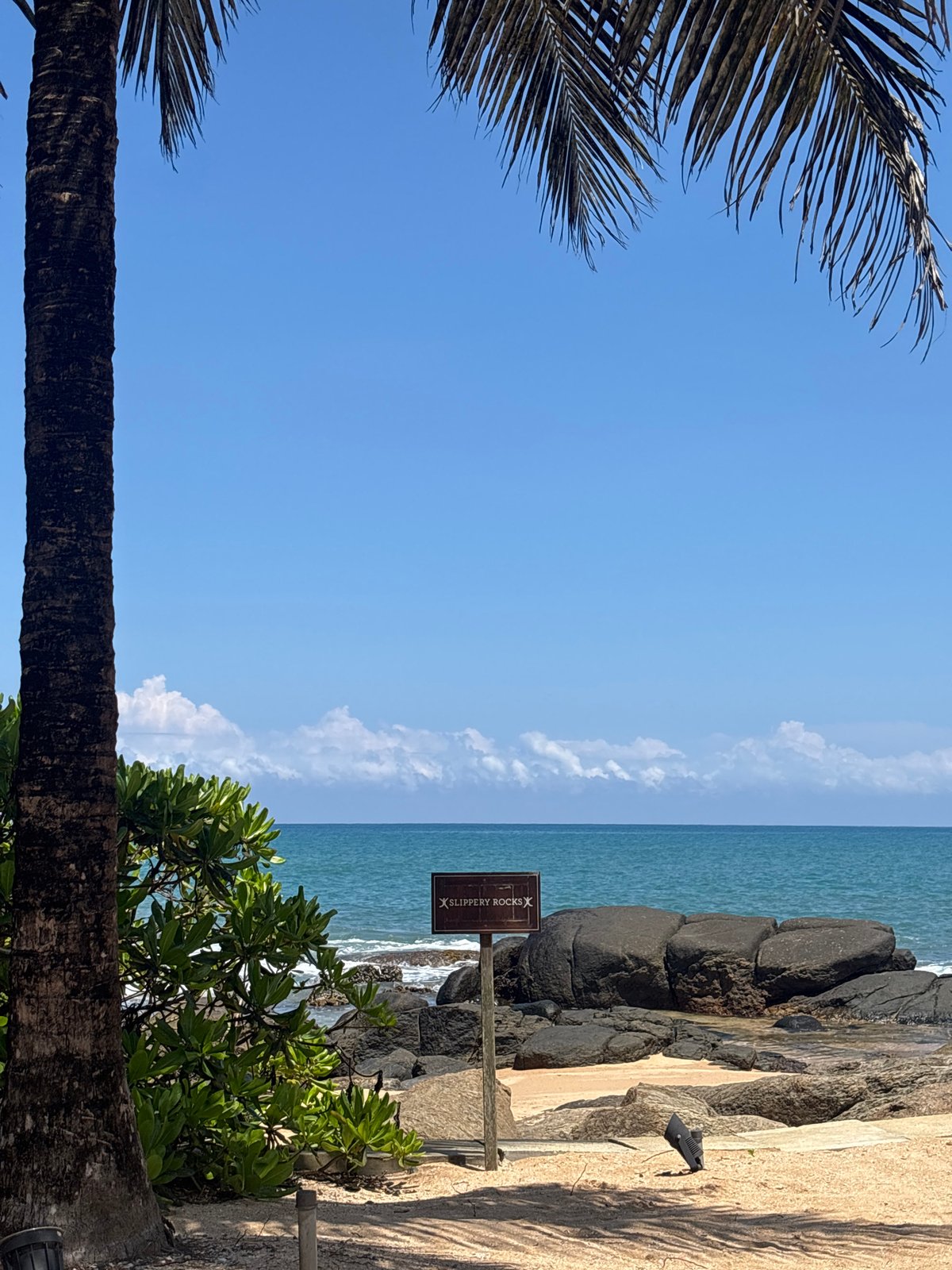 Morning tropical views captured in Ahungalla, Sri Lanka