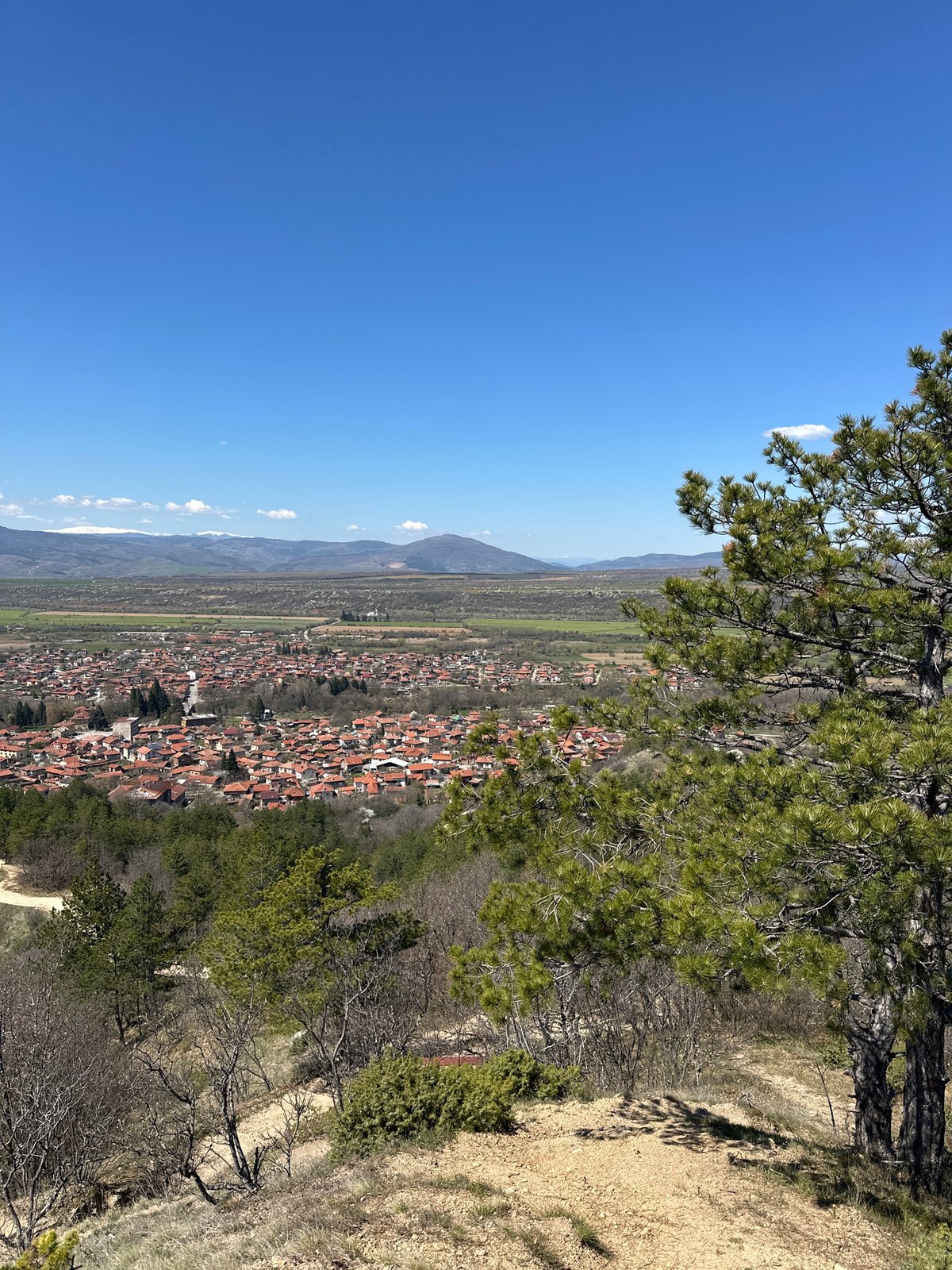 Aerial view captured of Stob, Bulgaria showing town and forest