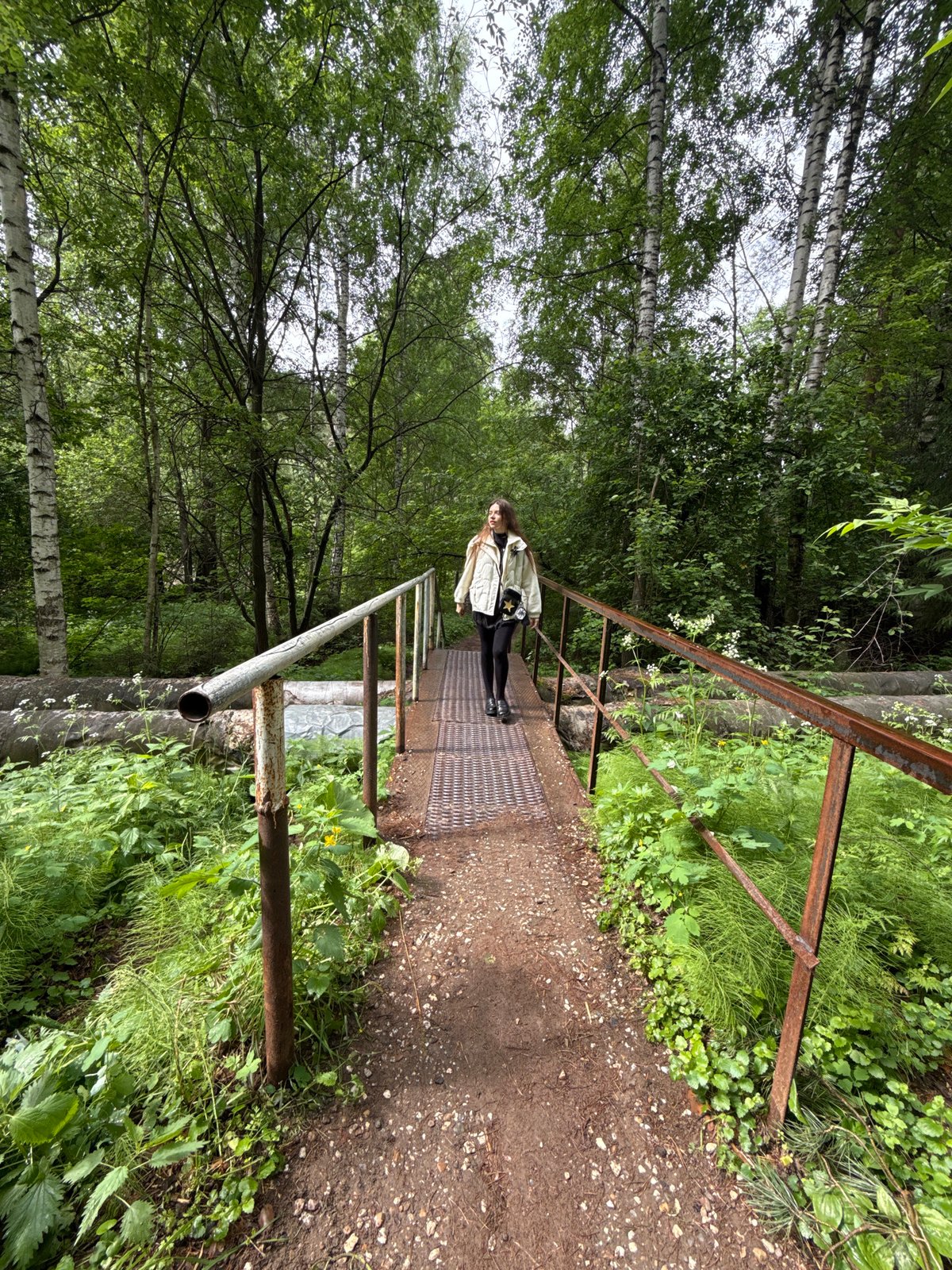 Nature reclaims abandoned infrastructure in Chaikovsky woodland area