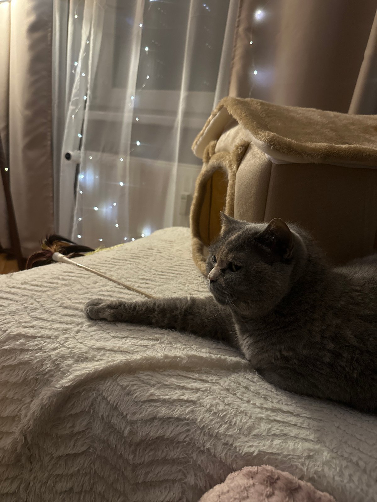 Quiet domestic moments captured in Liepaja homes