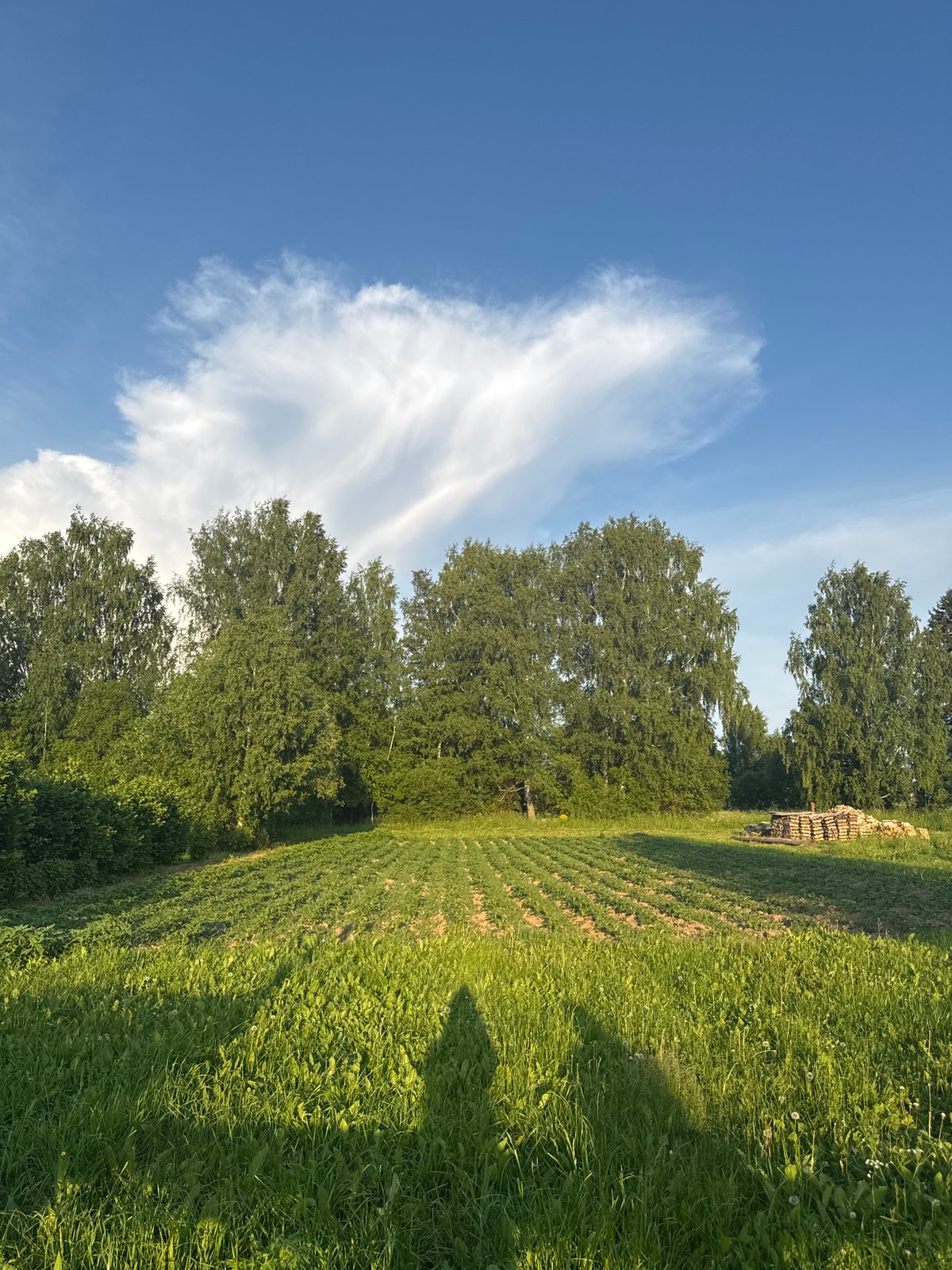 Garden photography session in rural Вассята, Russia