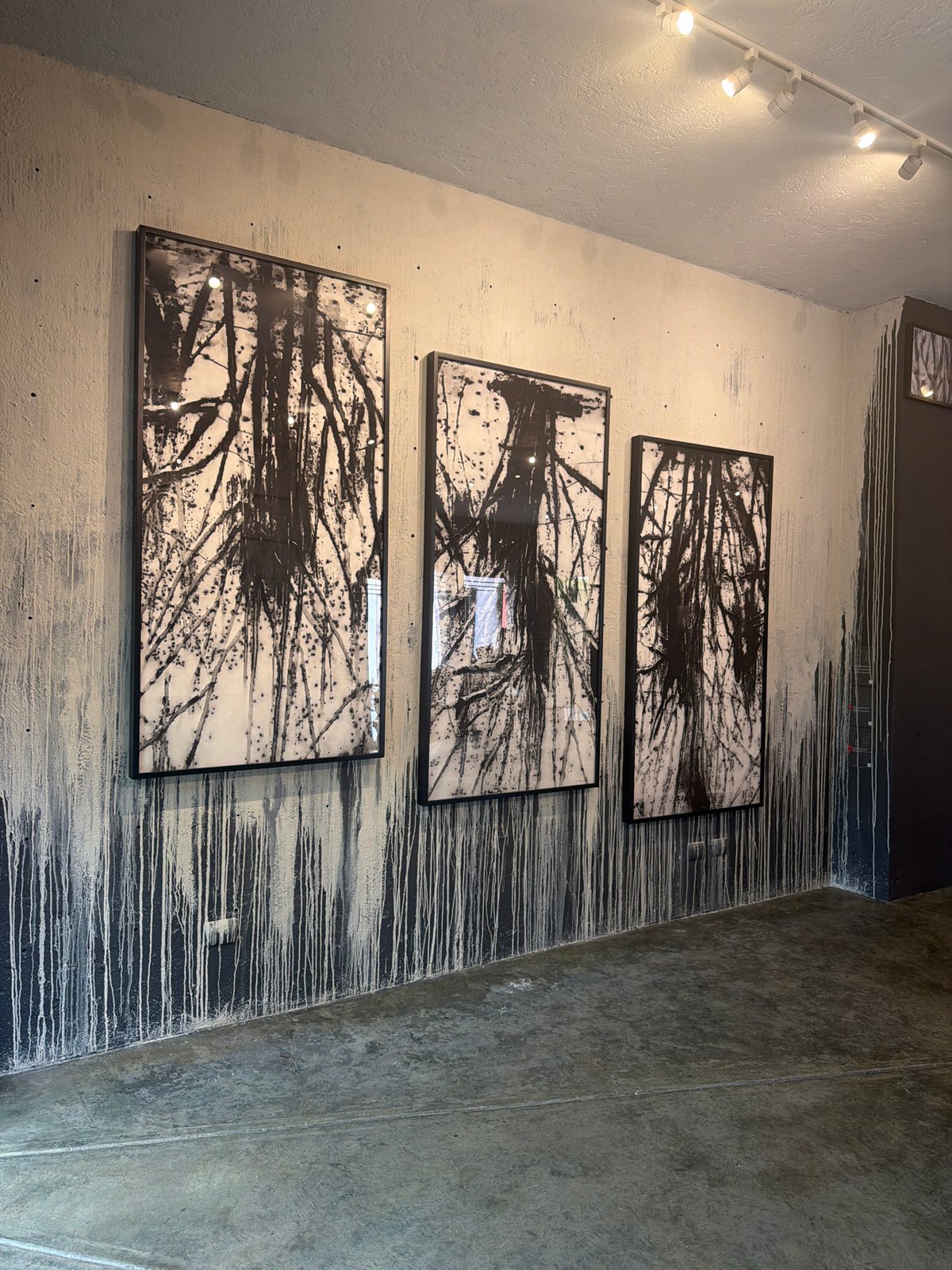 Contemporary art exhibit observed at Puebla gallery