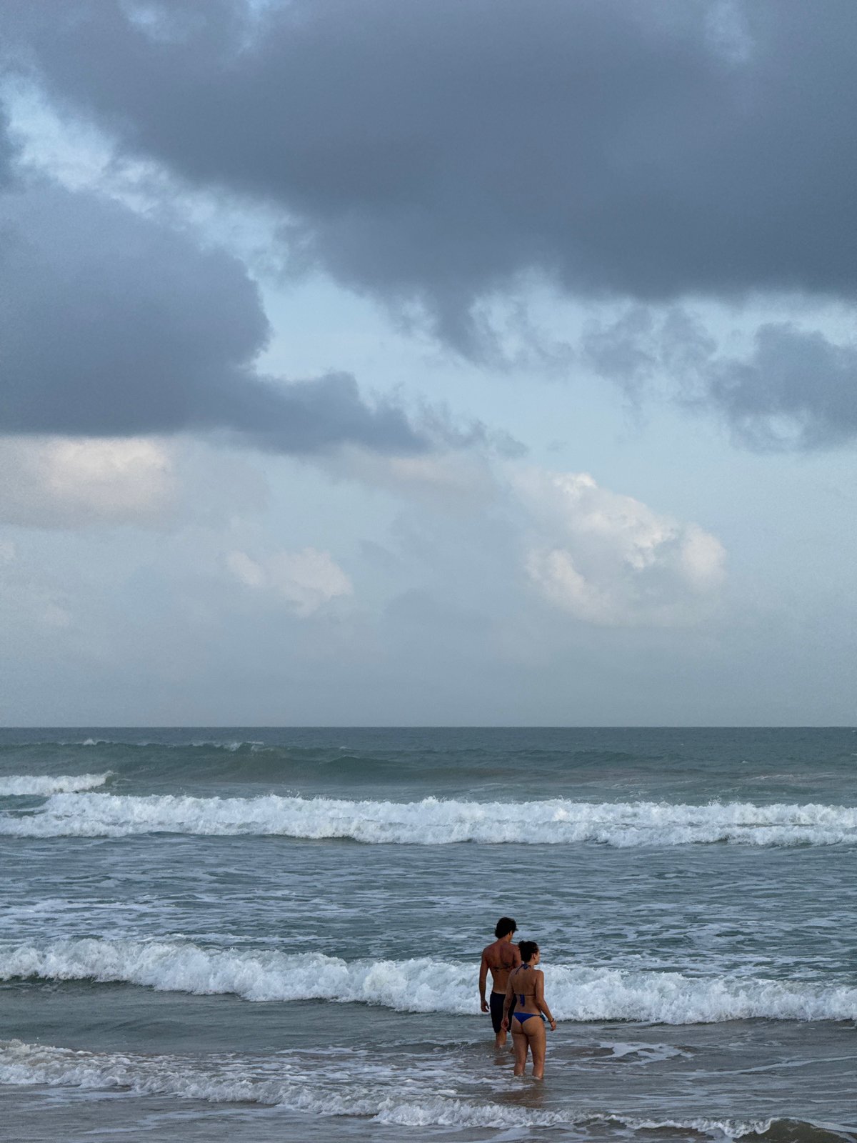 Golden hour on a moody Sri Lankan beach with dogs and waves