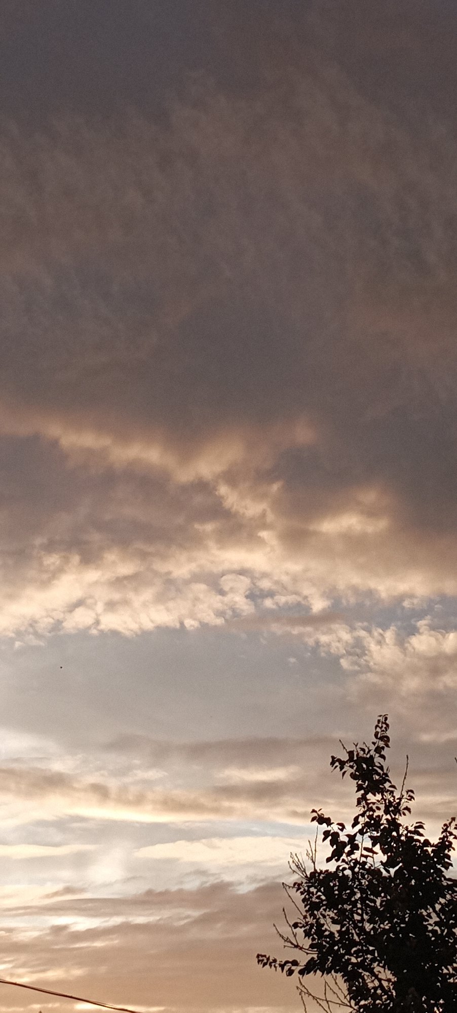Twilight sky over Radisne, clouds shifting through sunset colors
