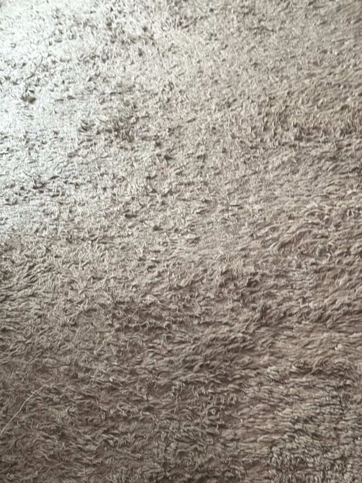 Miscellaneous close-ups of everyday objects and surfaces