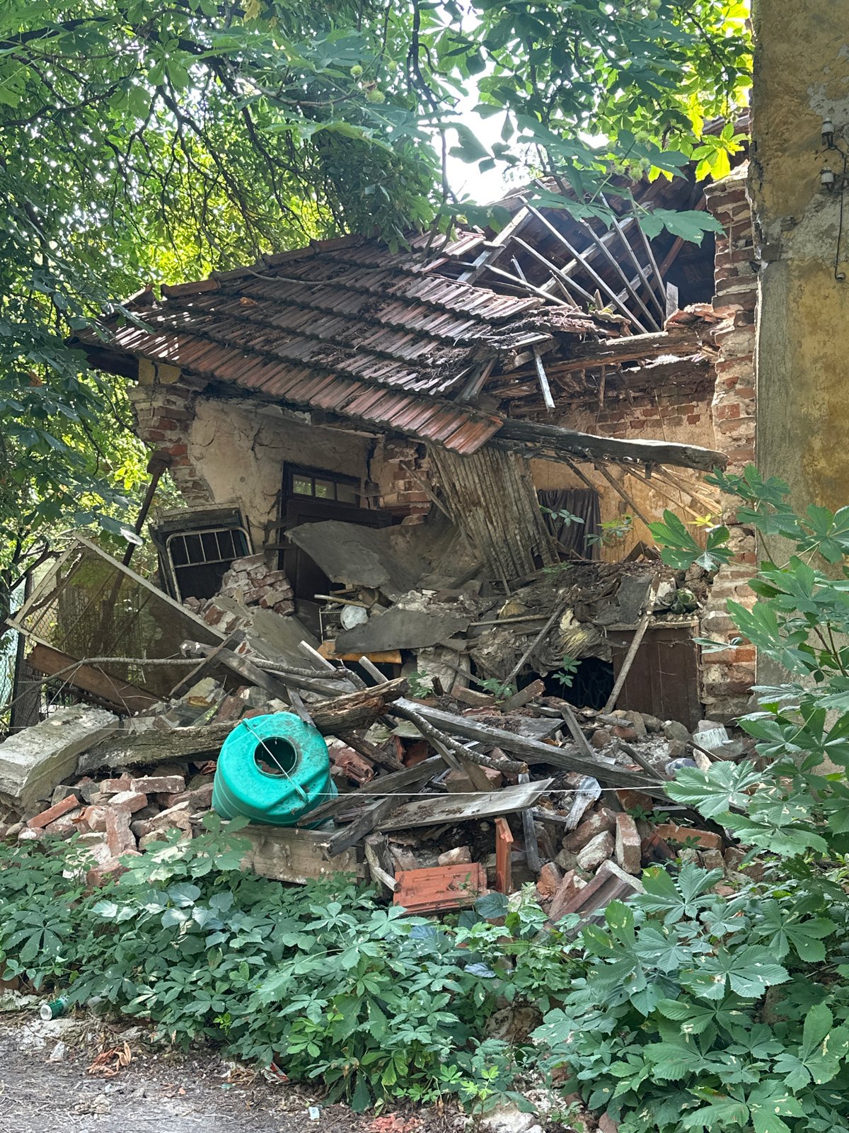A scattered hour: Audi drives, decay, a dog, and home interiors