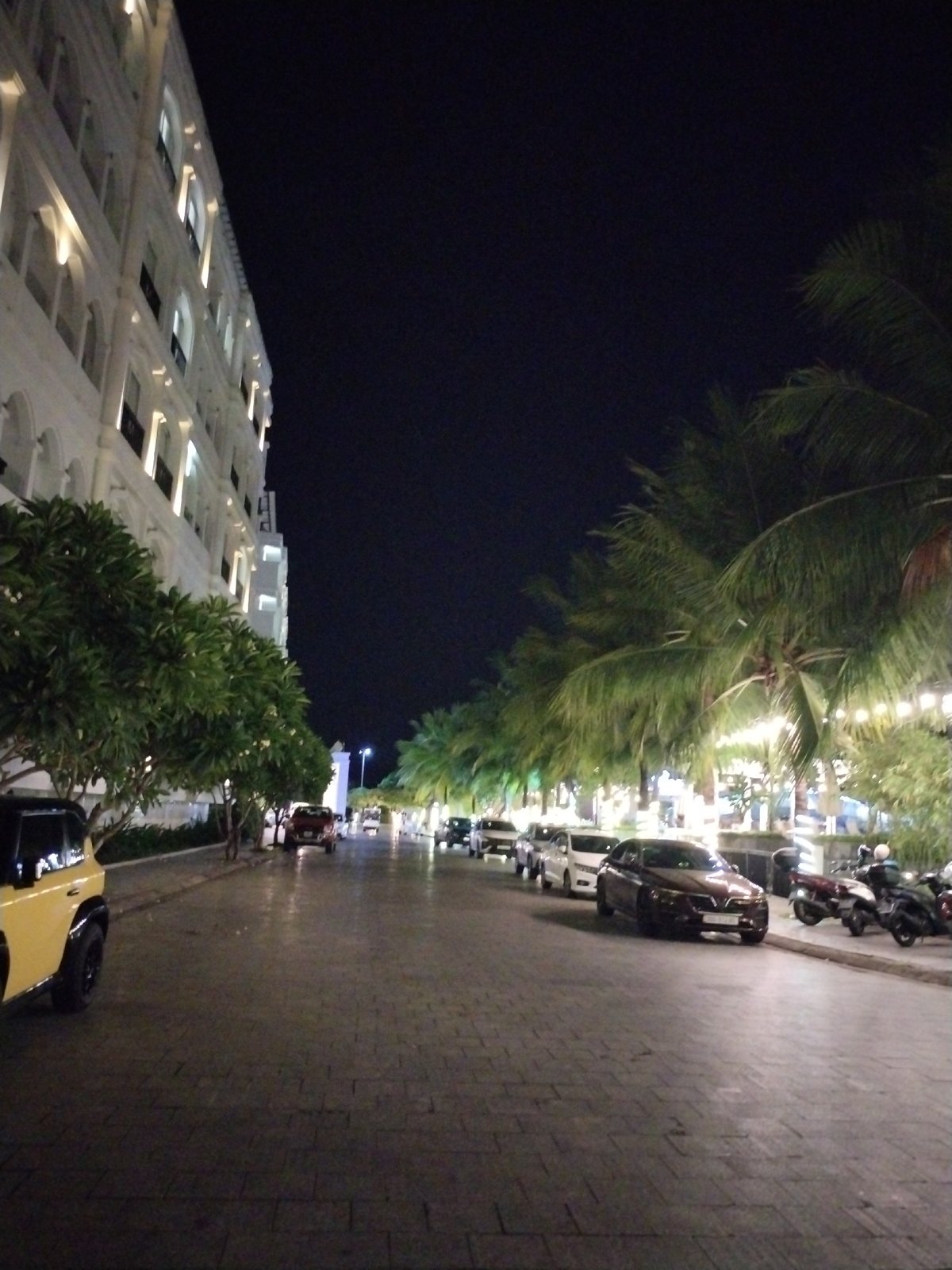 Nha Trang hotel strip at night, palm lights and courtyard details