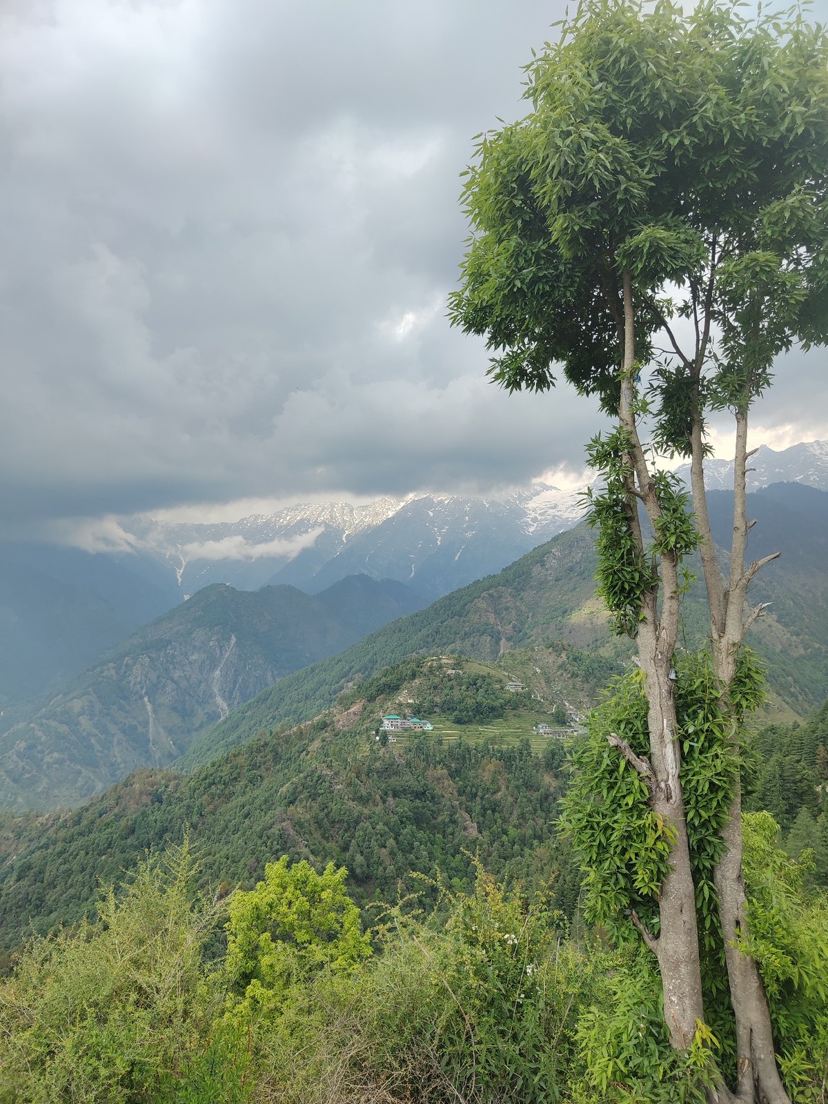 Witness documents mountain town with prayer flags, residential areas