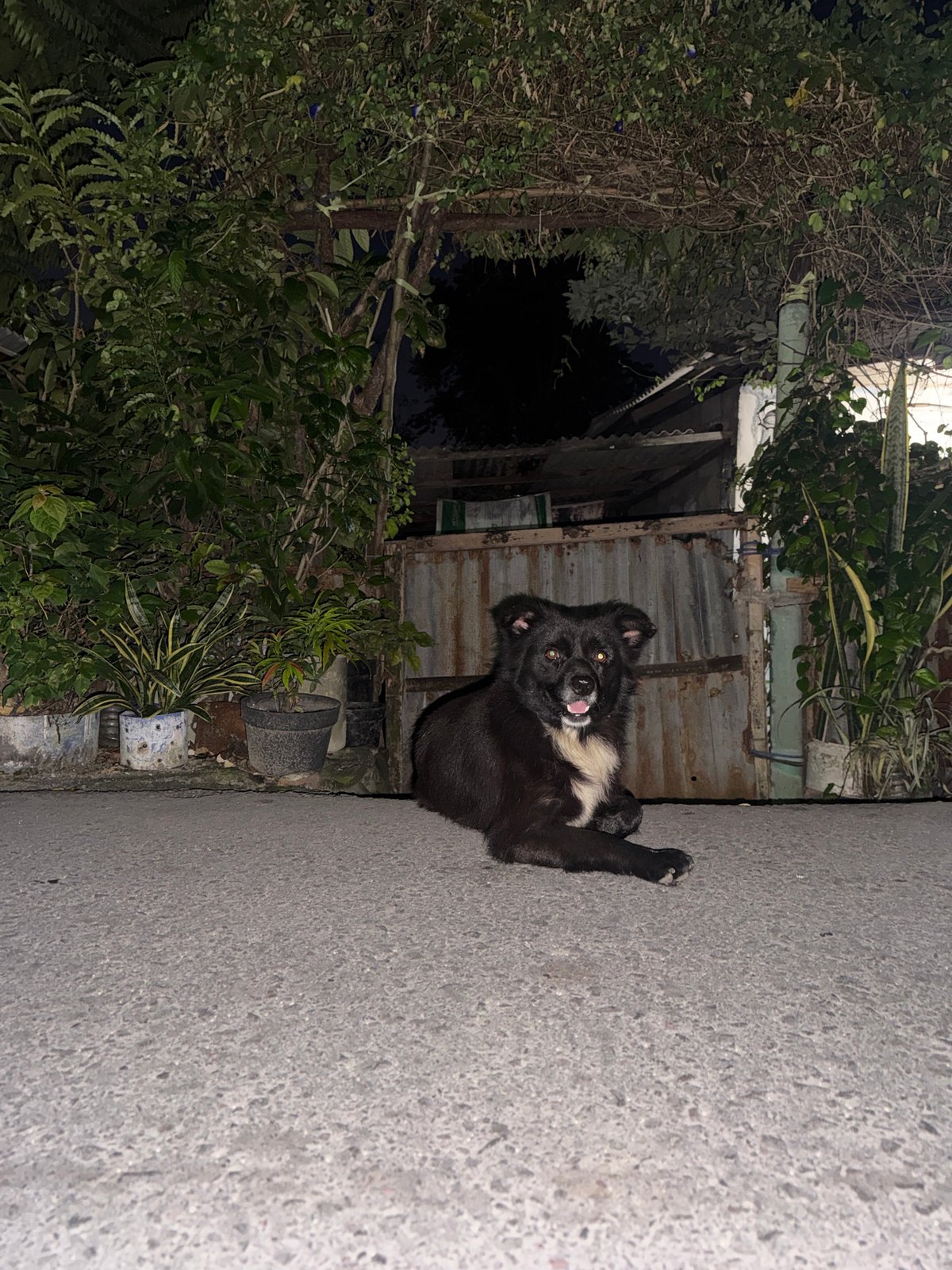 Quiet nighttime street life in Kuta Selatan, Bali