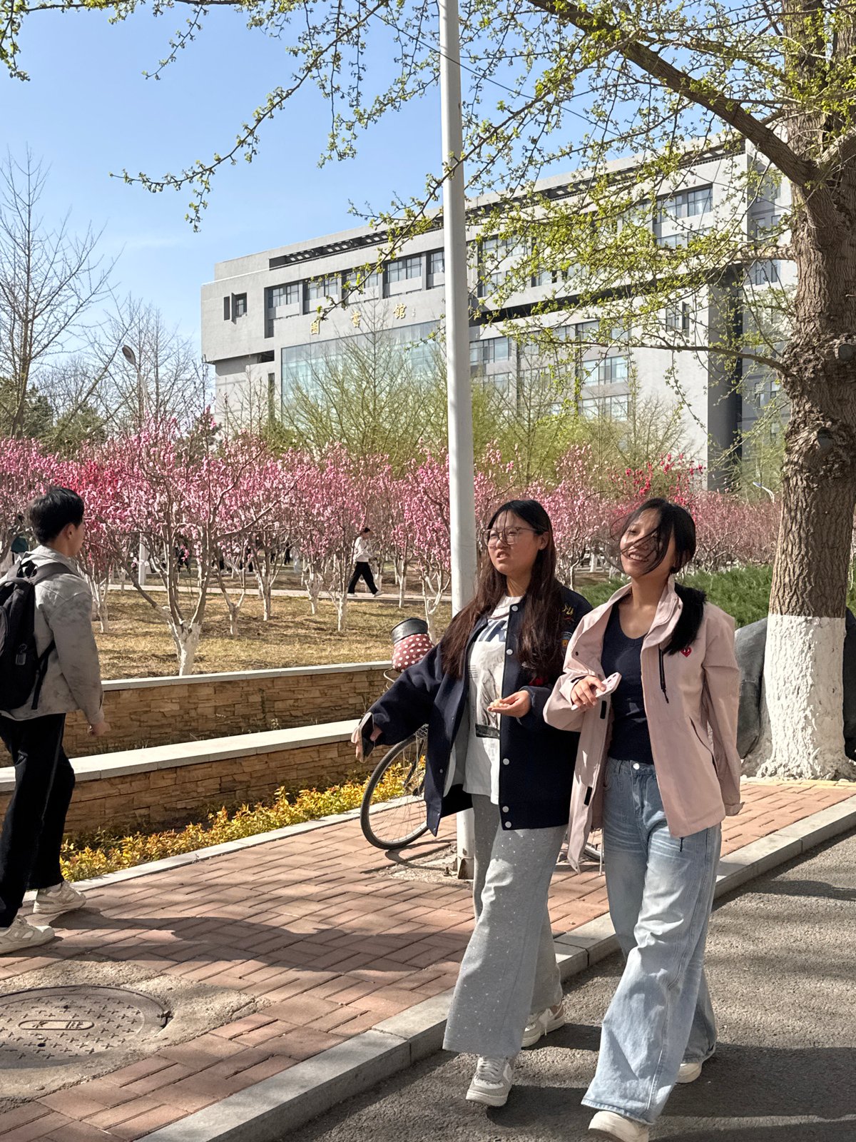 Morning activities captured across Zhongtun: outdoor spring scenes, recreation, education