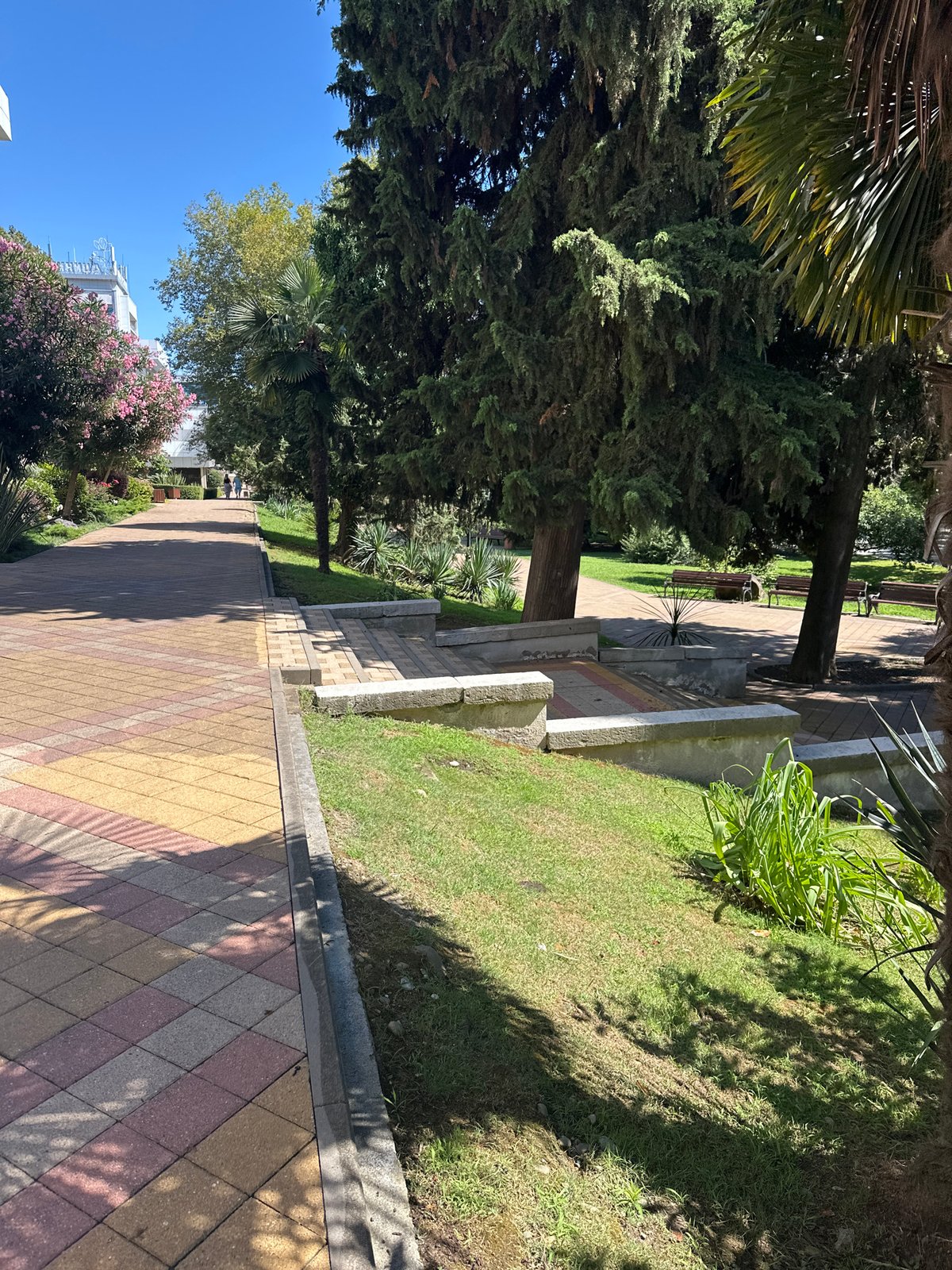 Sochi park circuit: gardens, statues, and summer greenery