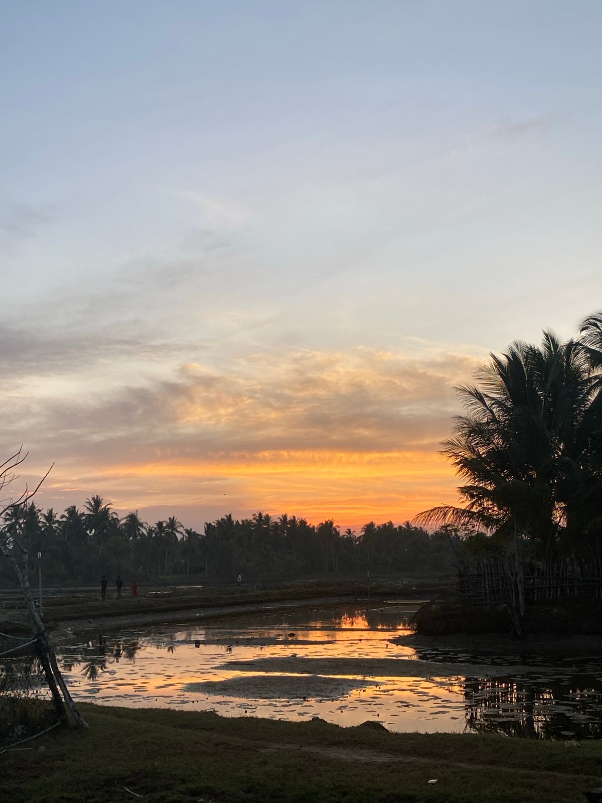 Morning nature scenes documented across Indonesian villages