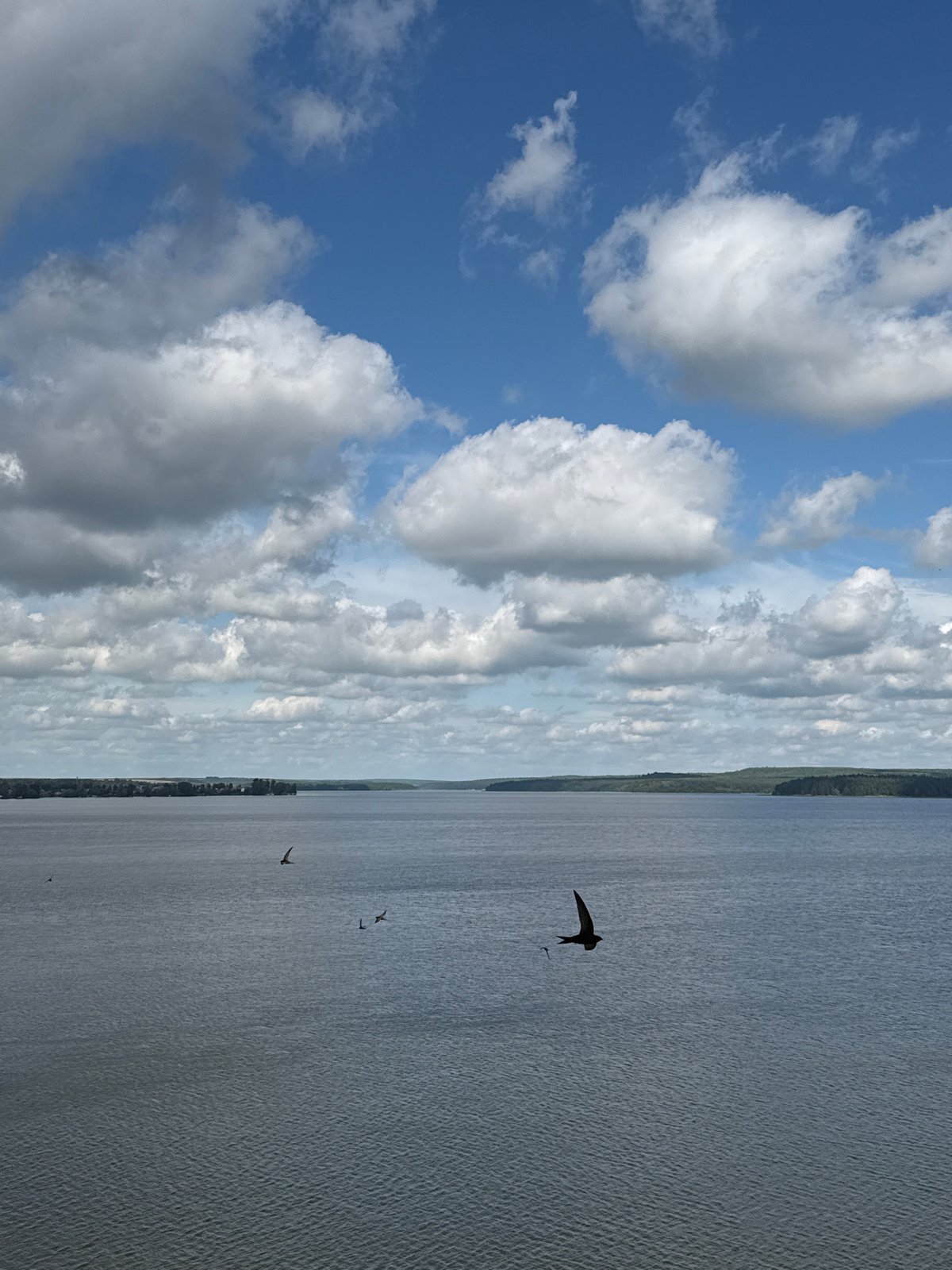 Calm morning on the Kama River, birds in flight over open water