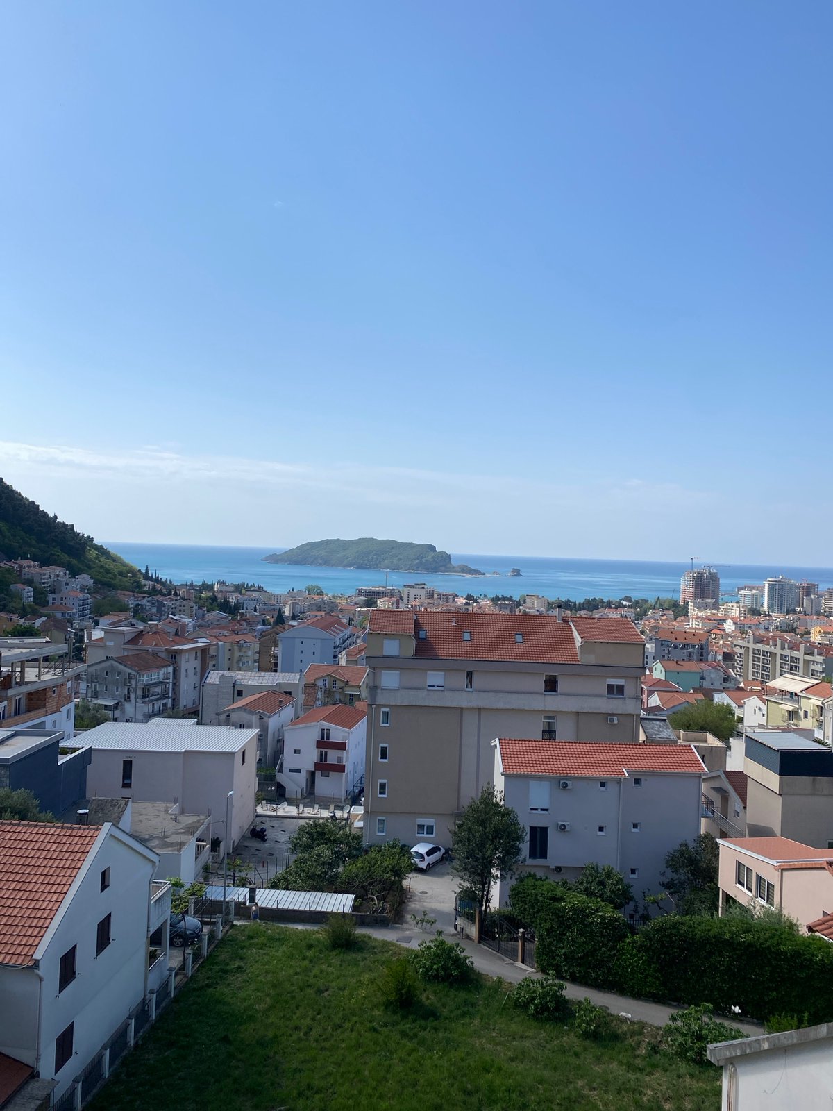 Morning documentation of Budva's coastal scenery and tropical flora