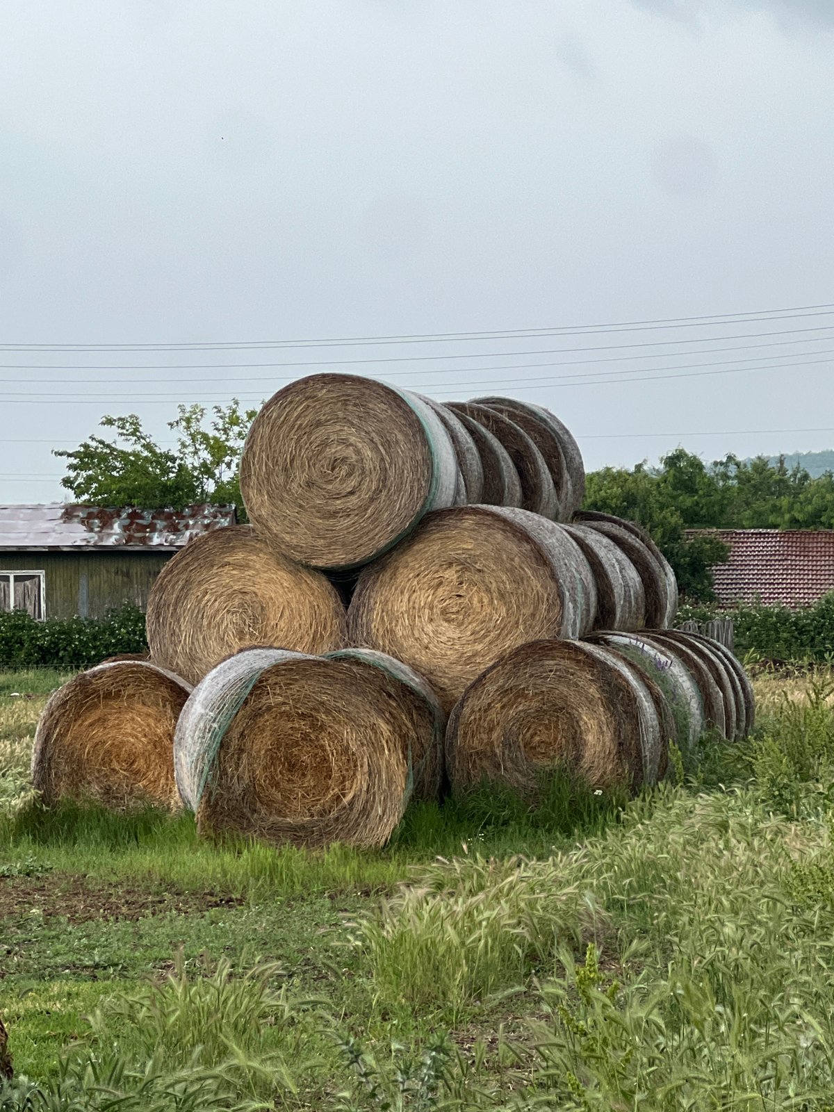 Rainy morning documented in rural Bulgarian village