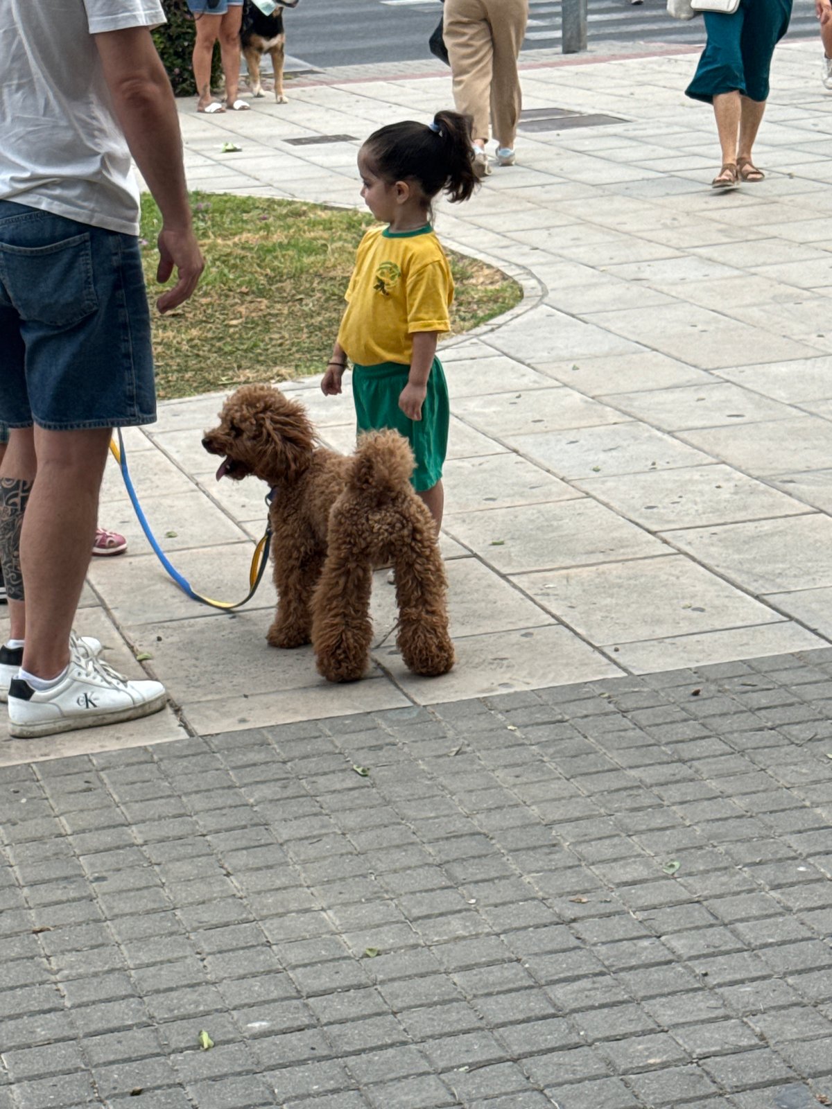 Morning park activities documented along tree-lined pathway