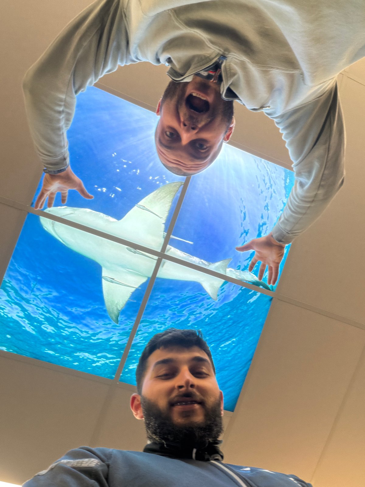Two men observe camera beneath shark ceiling display in Ede