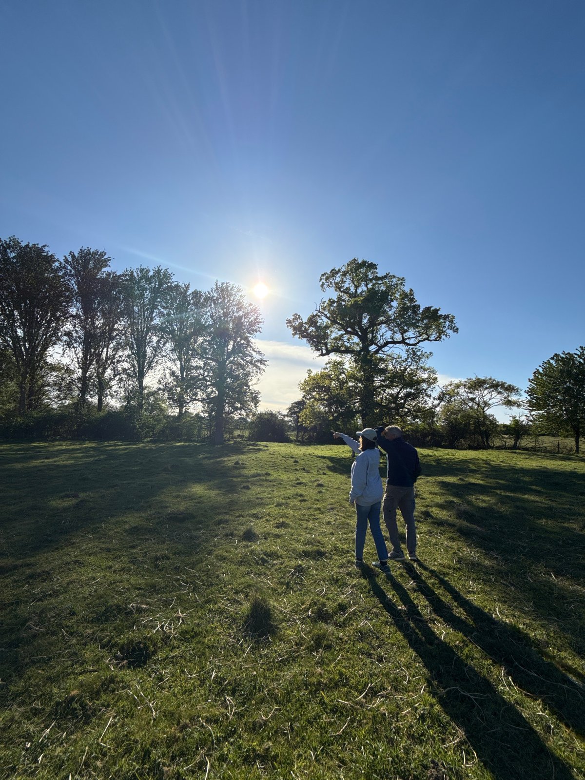 Two people, soaring raptor observed in North Hertfordshire field