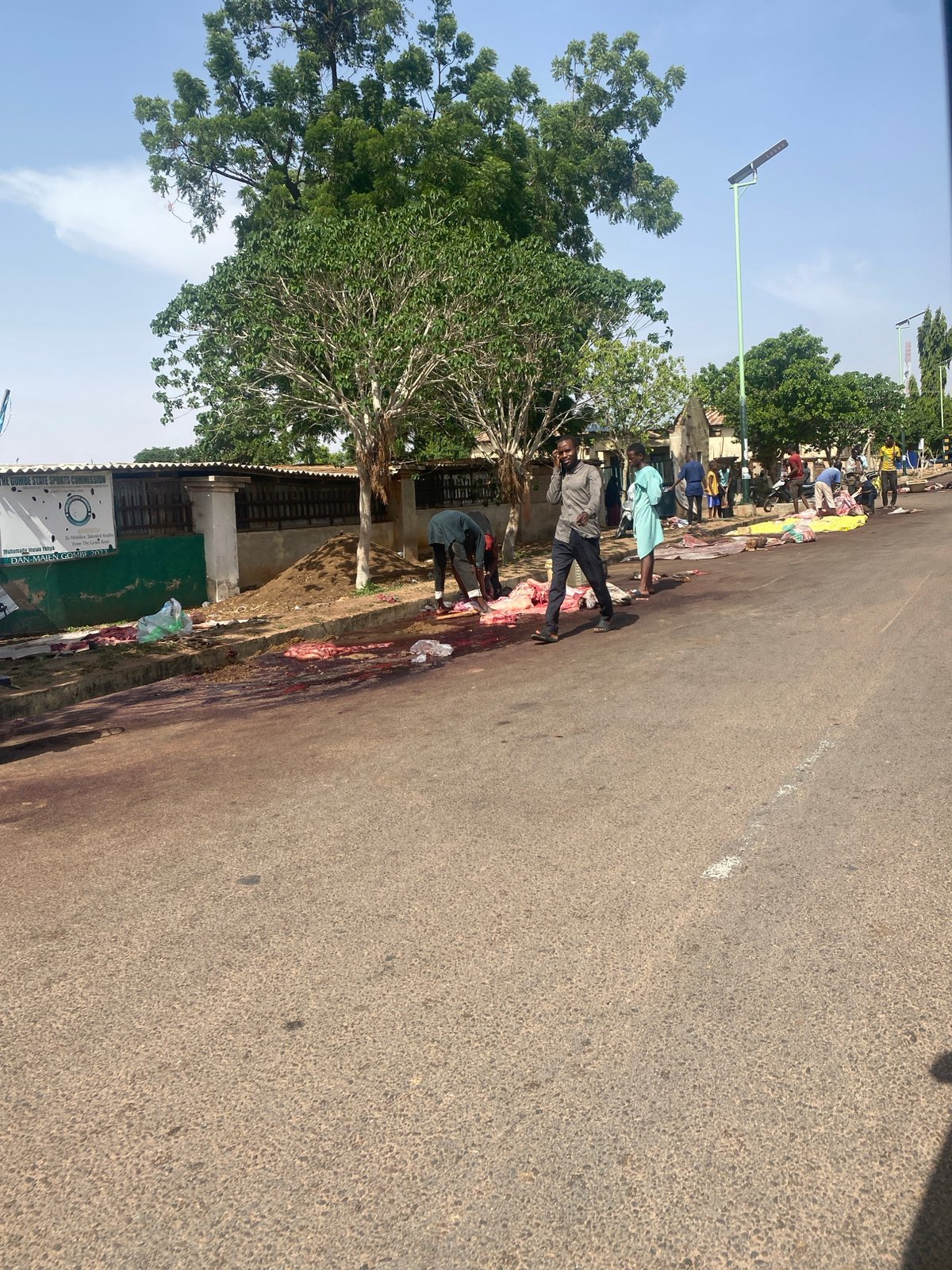 Roadside commerce and meat processing documented in Gombe, Nigeria