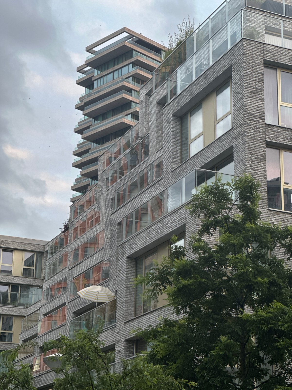 Amsterdam resident documents cat, architecture during overcast evening