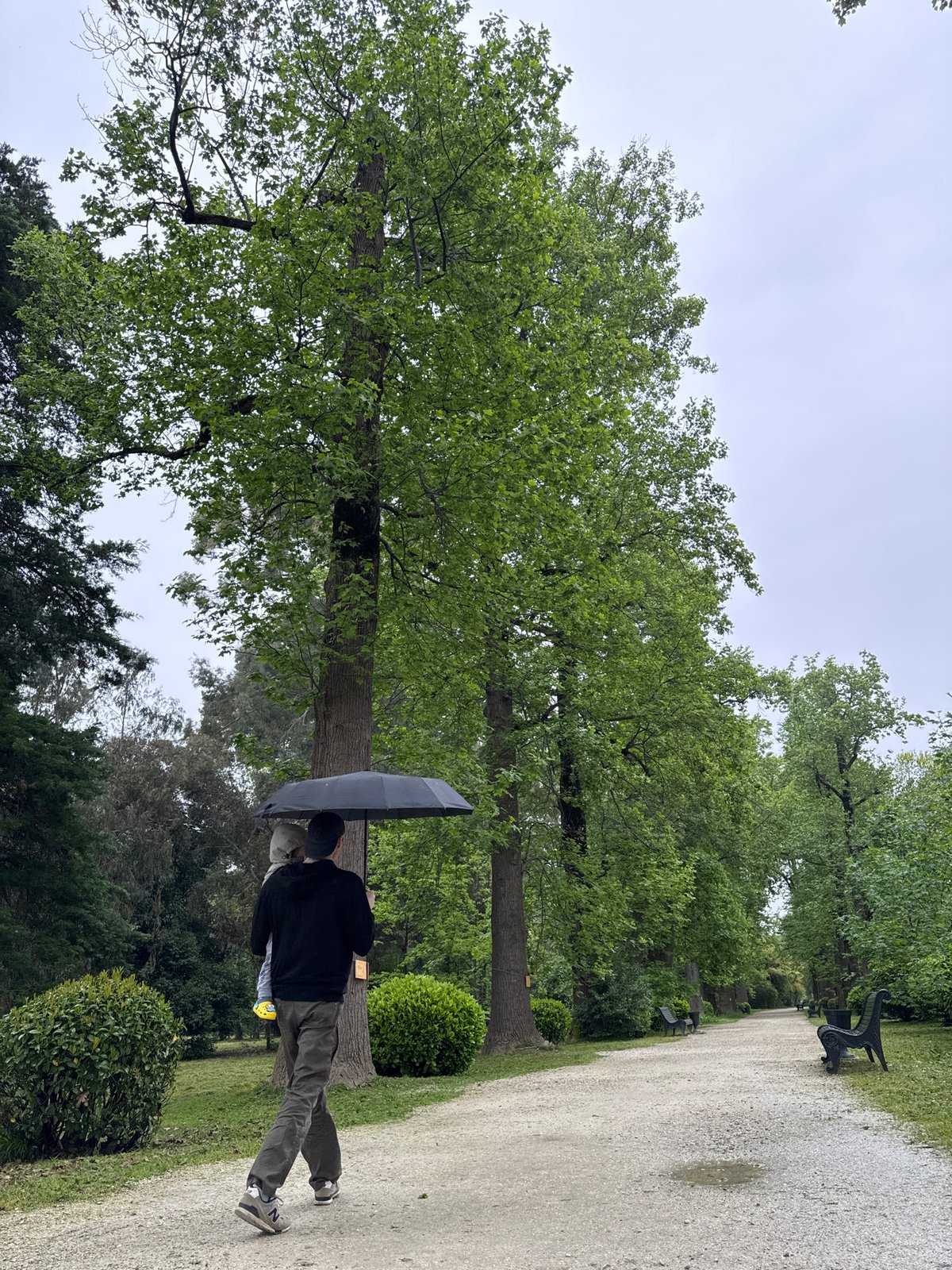 Morning park walk observed in Sirius, Russia
