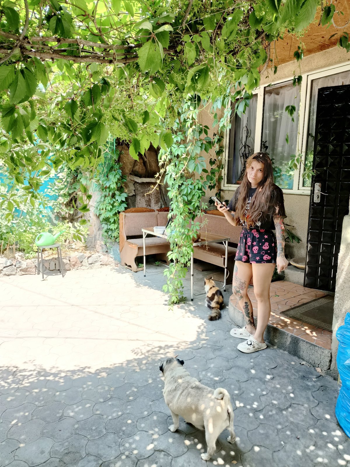Cats, a pug, budgies, and garden plants at an Almaty home