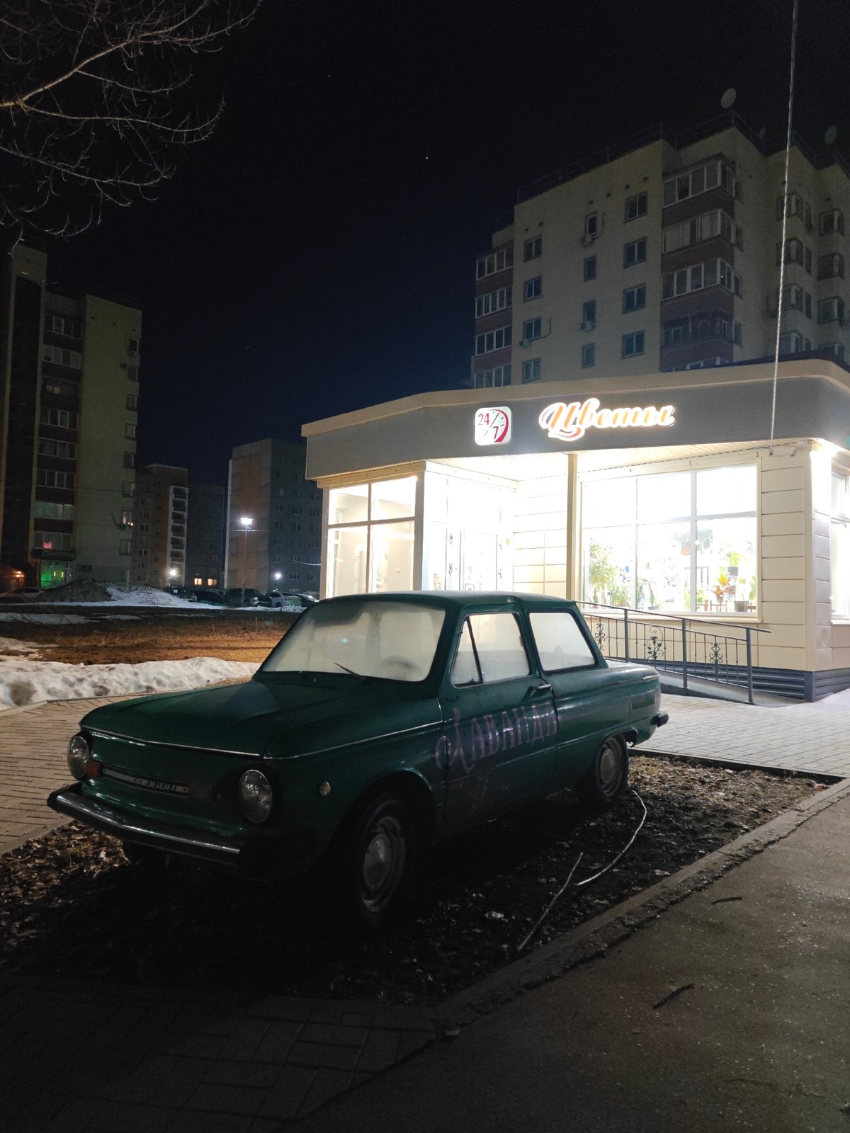 Quiet evening moments with pet captured in Chaikovsky, Russia