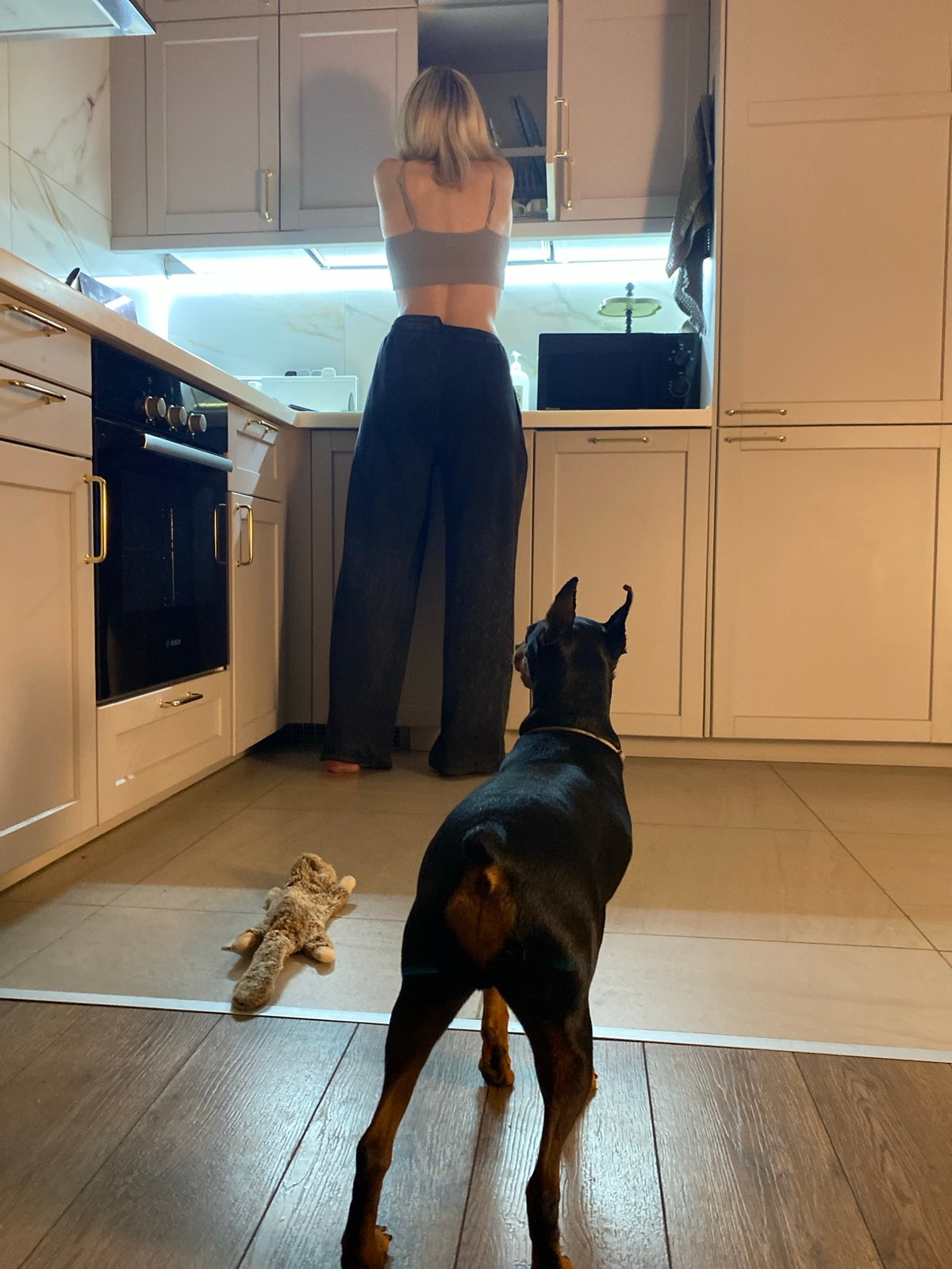 Dogs, tea, and a relaxed evening in a Moscow apartment