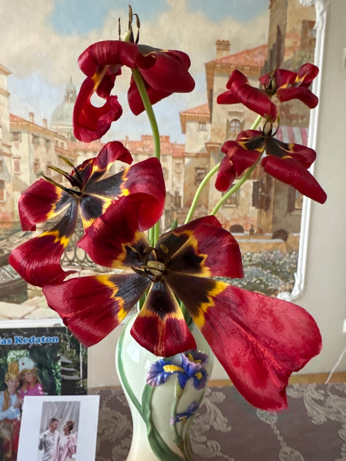 Red and black tulip bouquet displayed in Vsevolozhsk