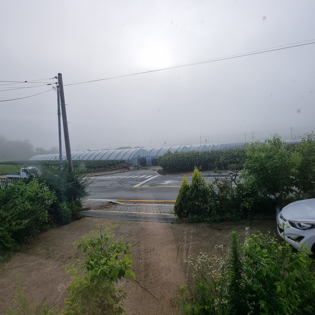 Vacuum truck crew works rural drains on a foggy morning in Dunnae-myeon