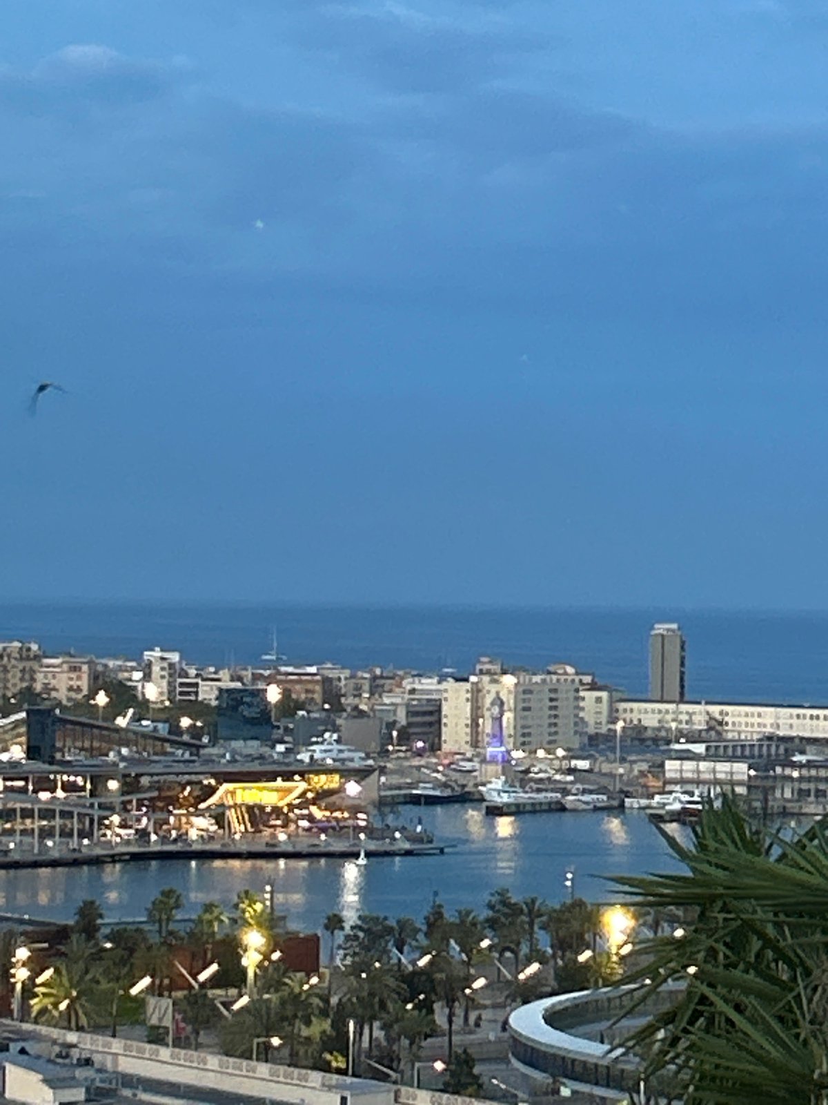 Barcelona twilight captured in panoramic waterfront and architectural views