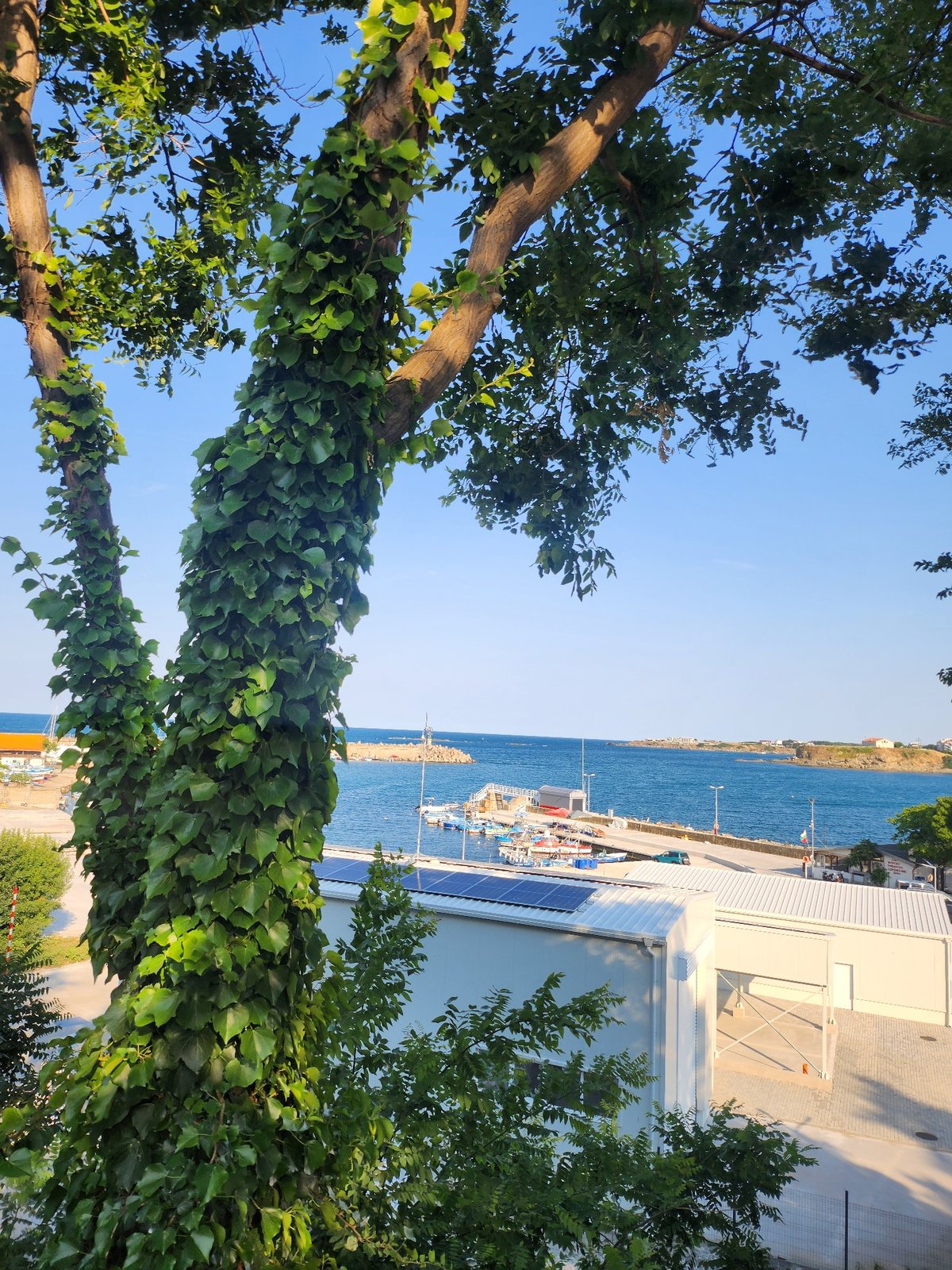 Tsarevo's Black Sea harbor seen through summer greenery