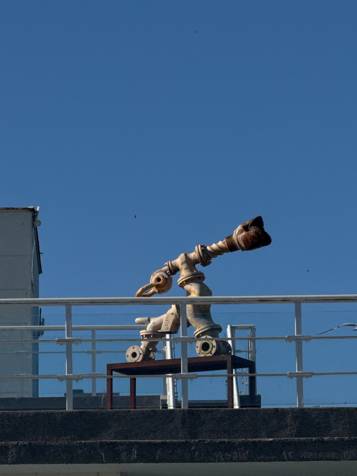 Everyday seaside activities documented across Burgas, Bulgaria waterfront